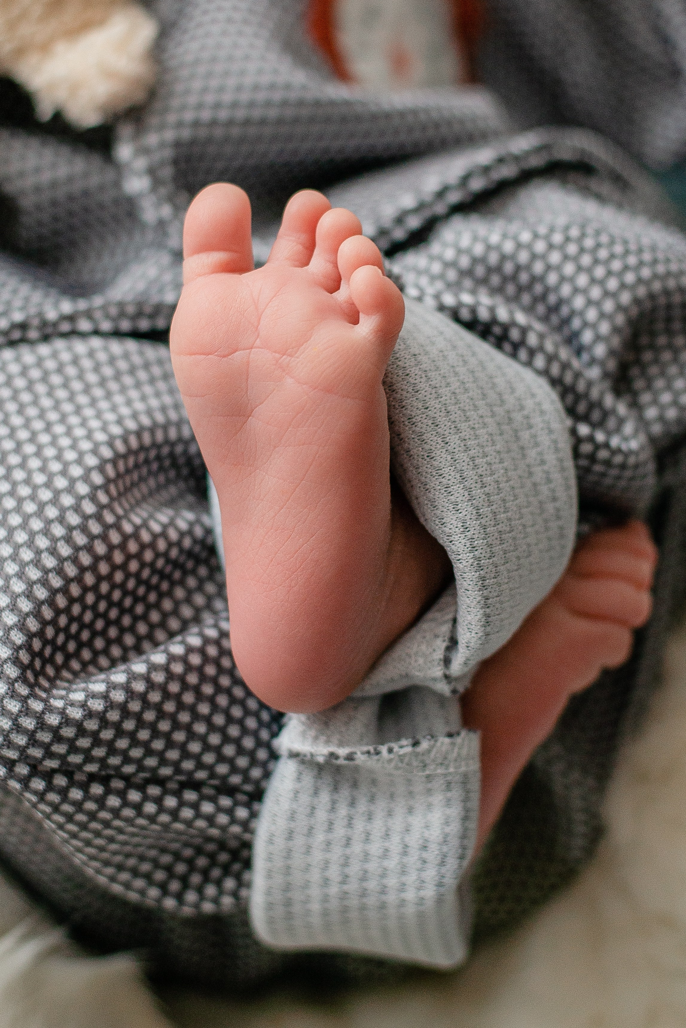 Александр. Семейный и детский фотограф Иваново Ксения Азаренкова