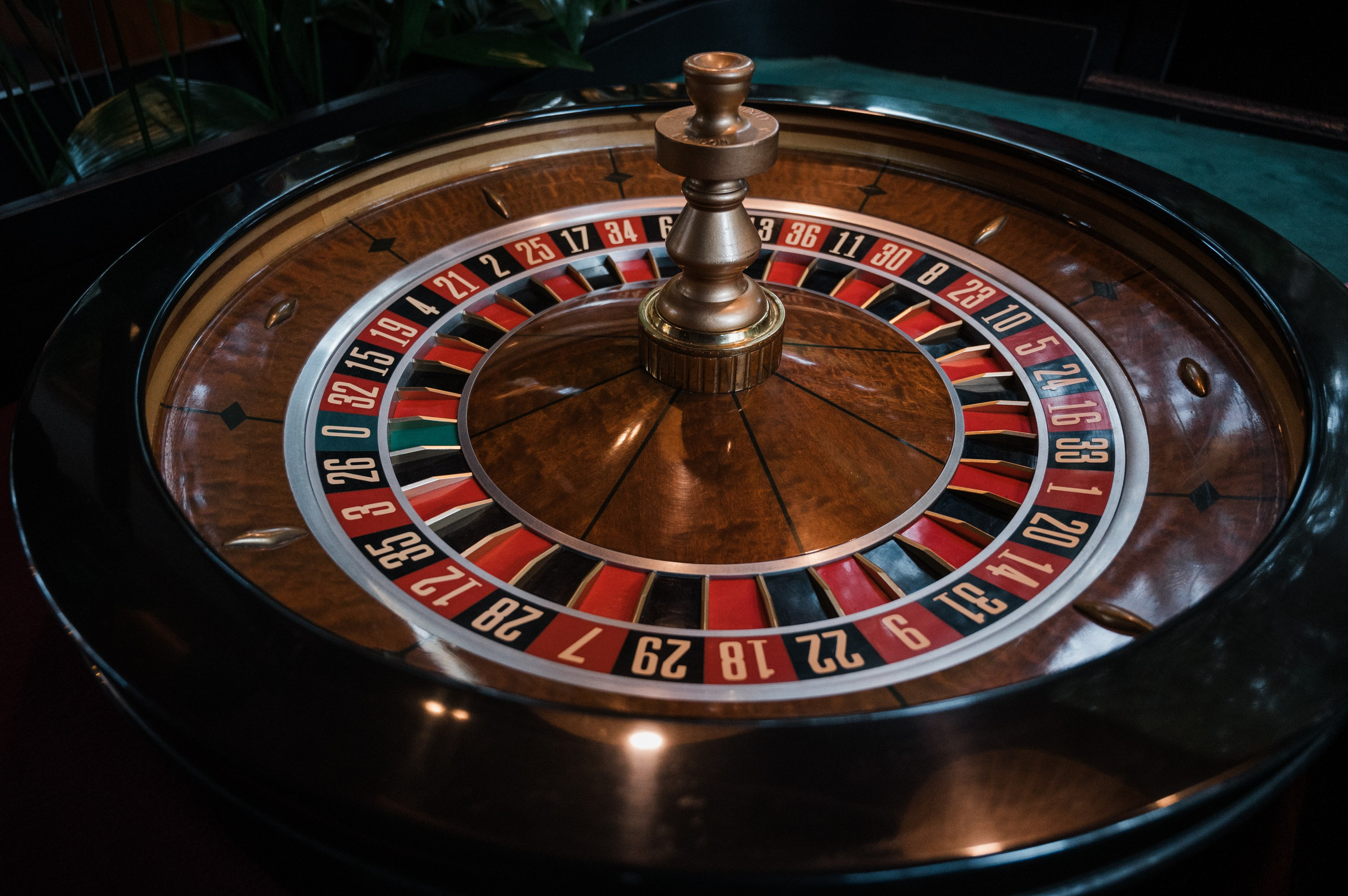 Репортажный фотограф на корпоратив и другие мероприятия. Свадебный и семейный фотограф в Краснодаре Марина Стёпа