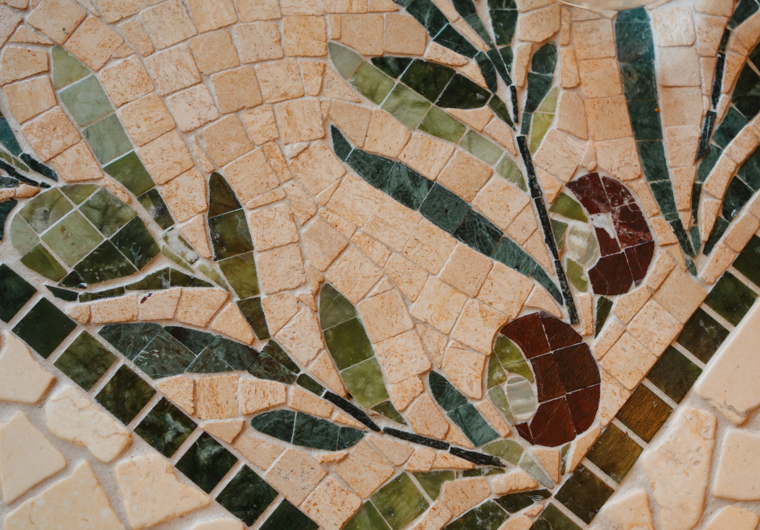 Olio x Enter. Саша Копылов, фотограф в Казани