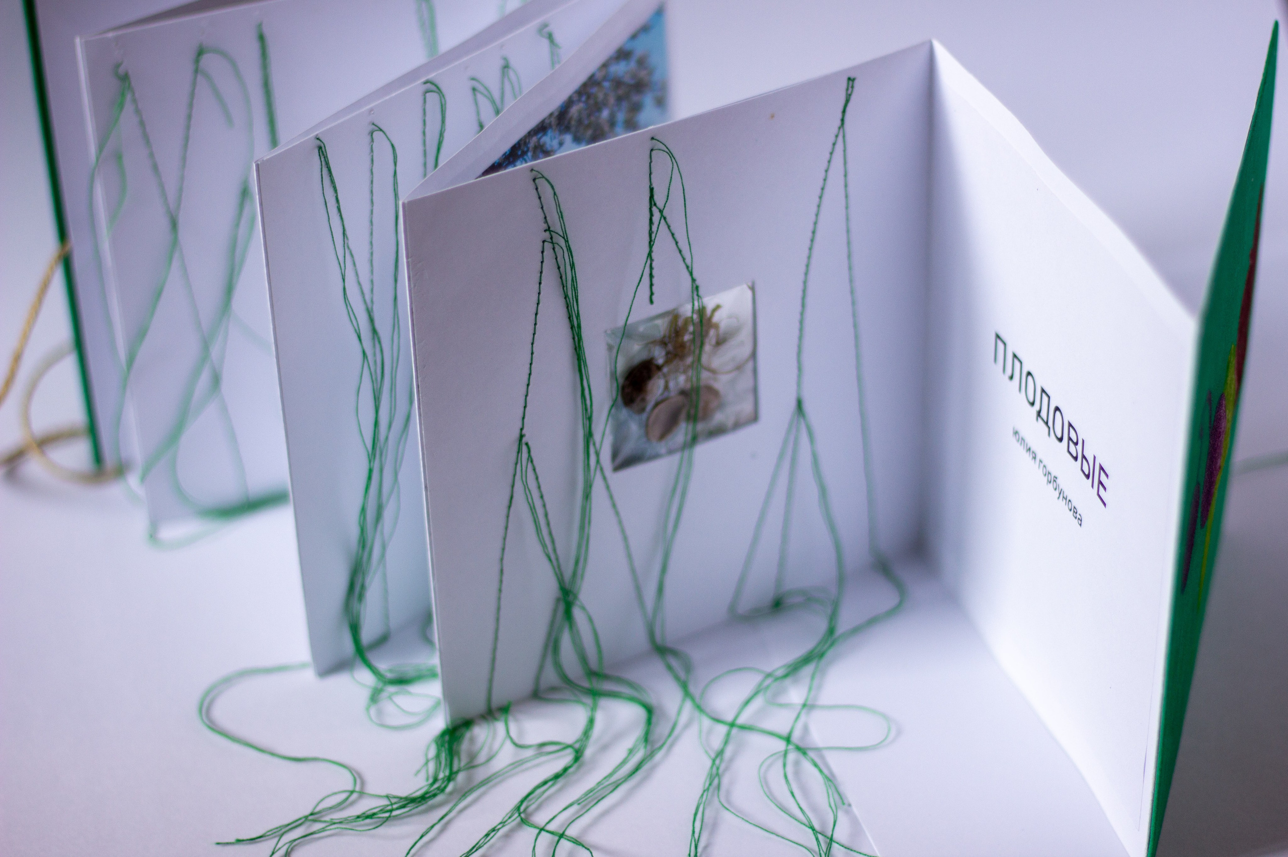 Плодовые (2024 — в процессе). Julia Gorbunova