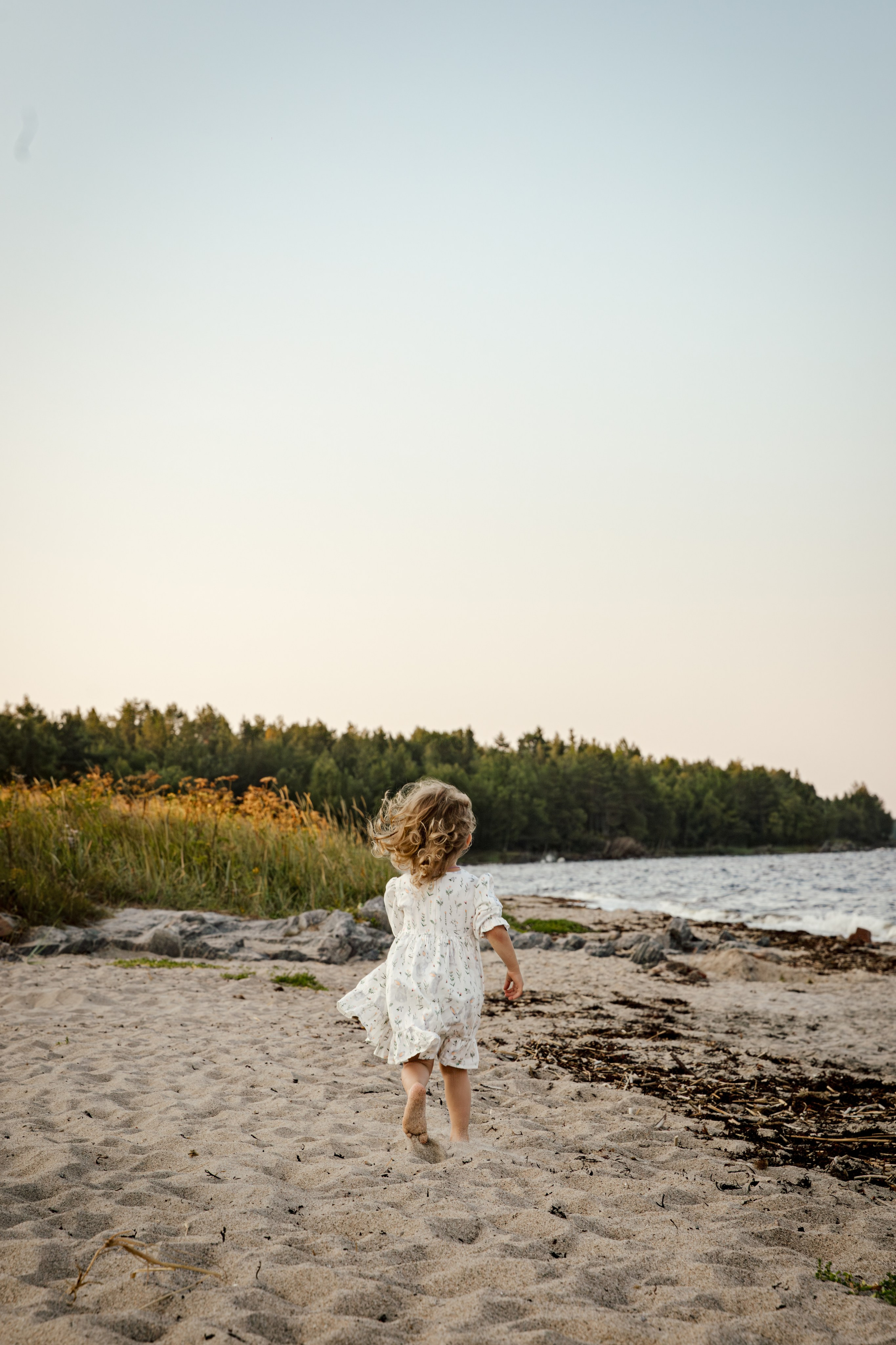 Семья Авраменко