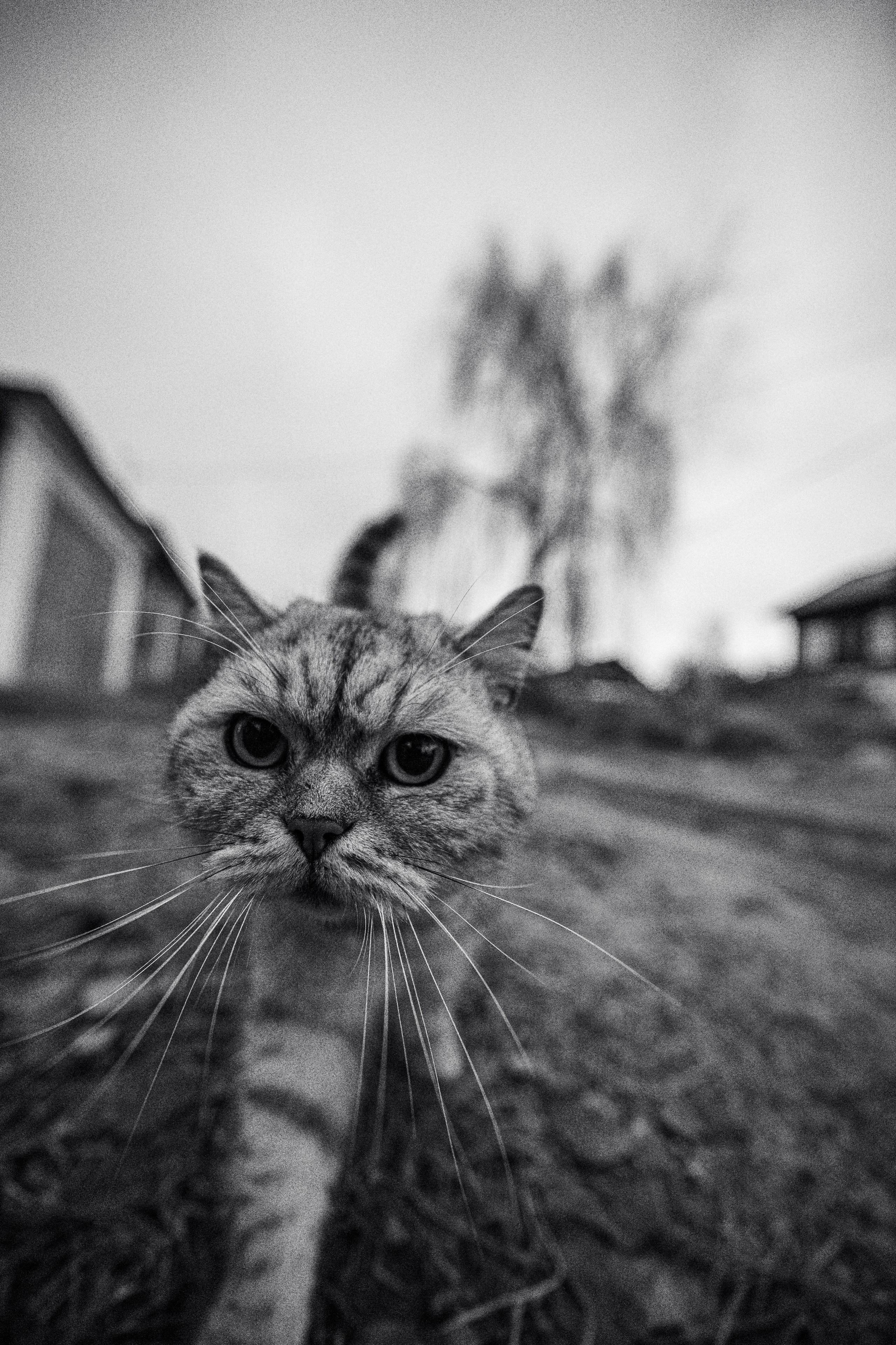 Стрит фото. Свадебный фотограф в Казани, и Зеленодольске Радик Мухаметов