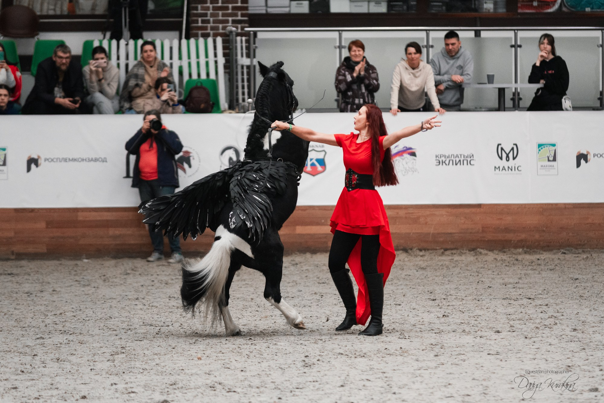 8-я международная выставка Конная Россия. Конный фотограф Куракина Дарья • Фотосессии с лошадьми