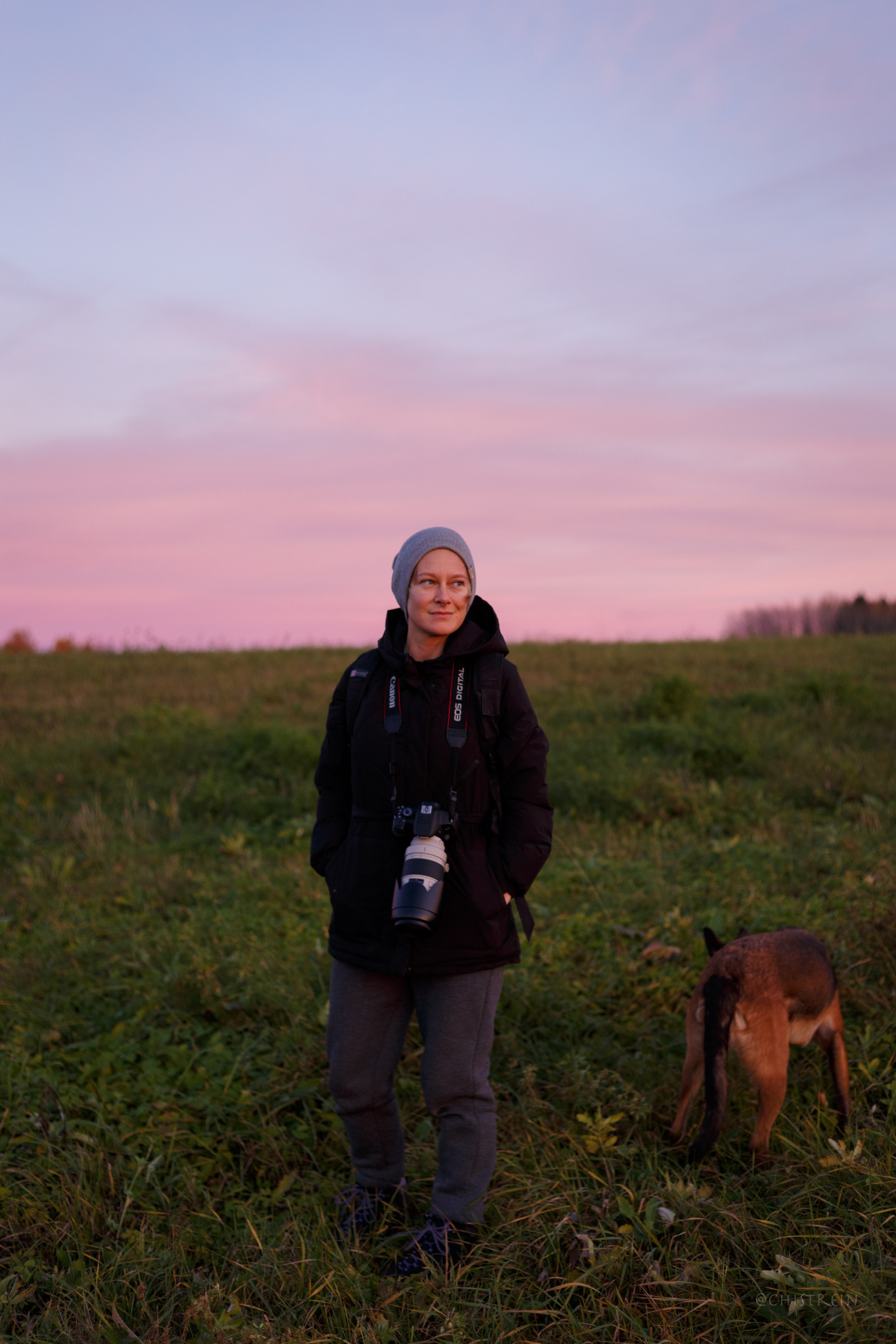 Октябрьский закат в полях. Алина и Лео. Фотограф-анималист Наталия Чистюхина в г. Сосновый Бор и ЛО