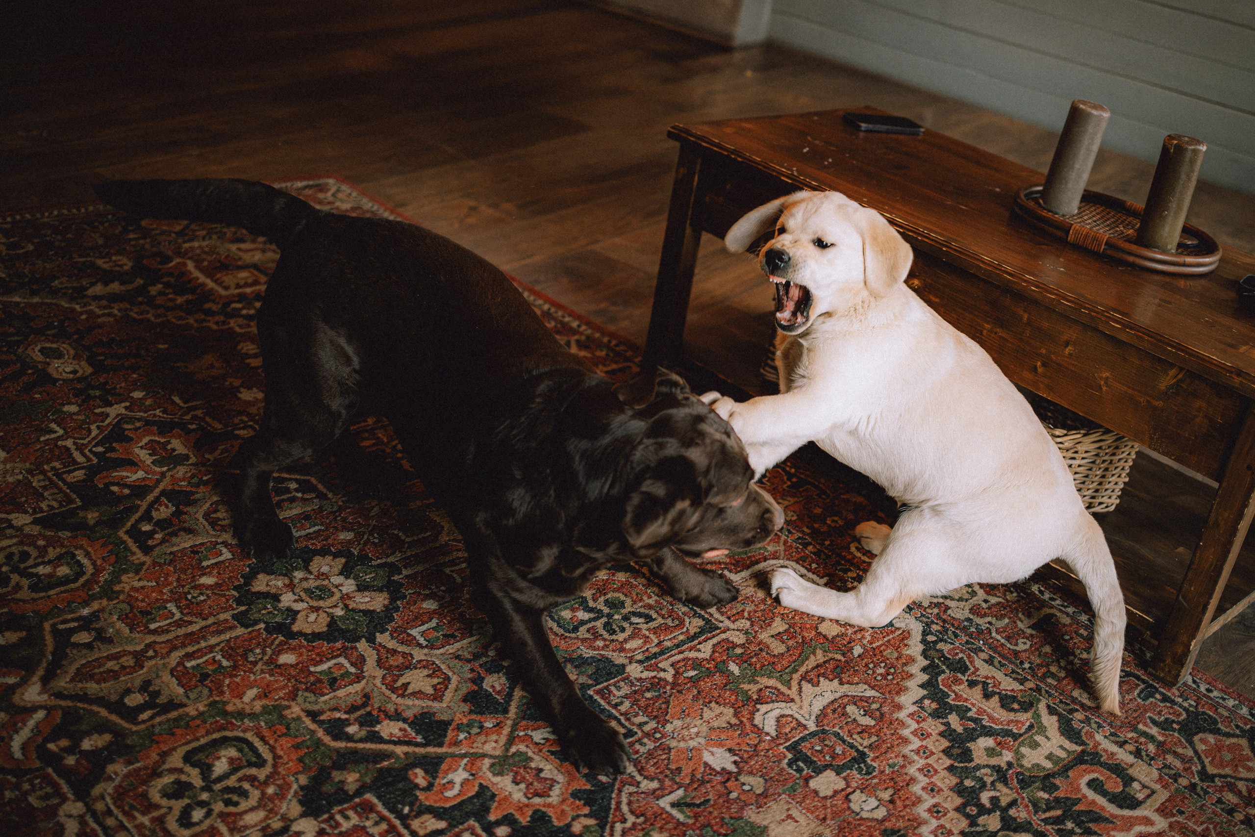 Ума, Берта и их семья