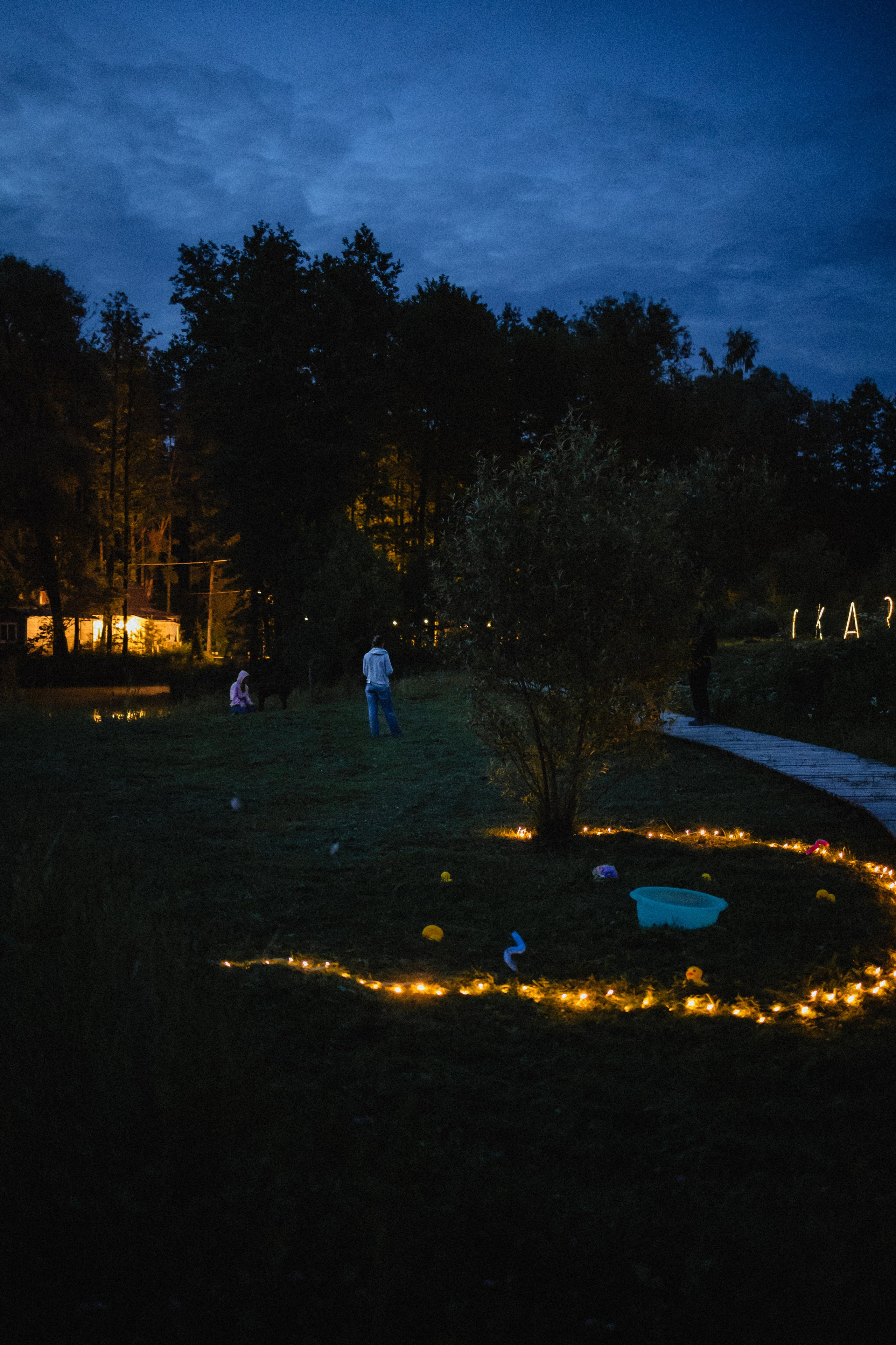 Выездной дог-тренинг от школы «Шерсть имею»