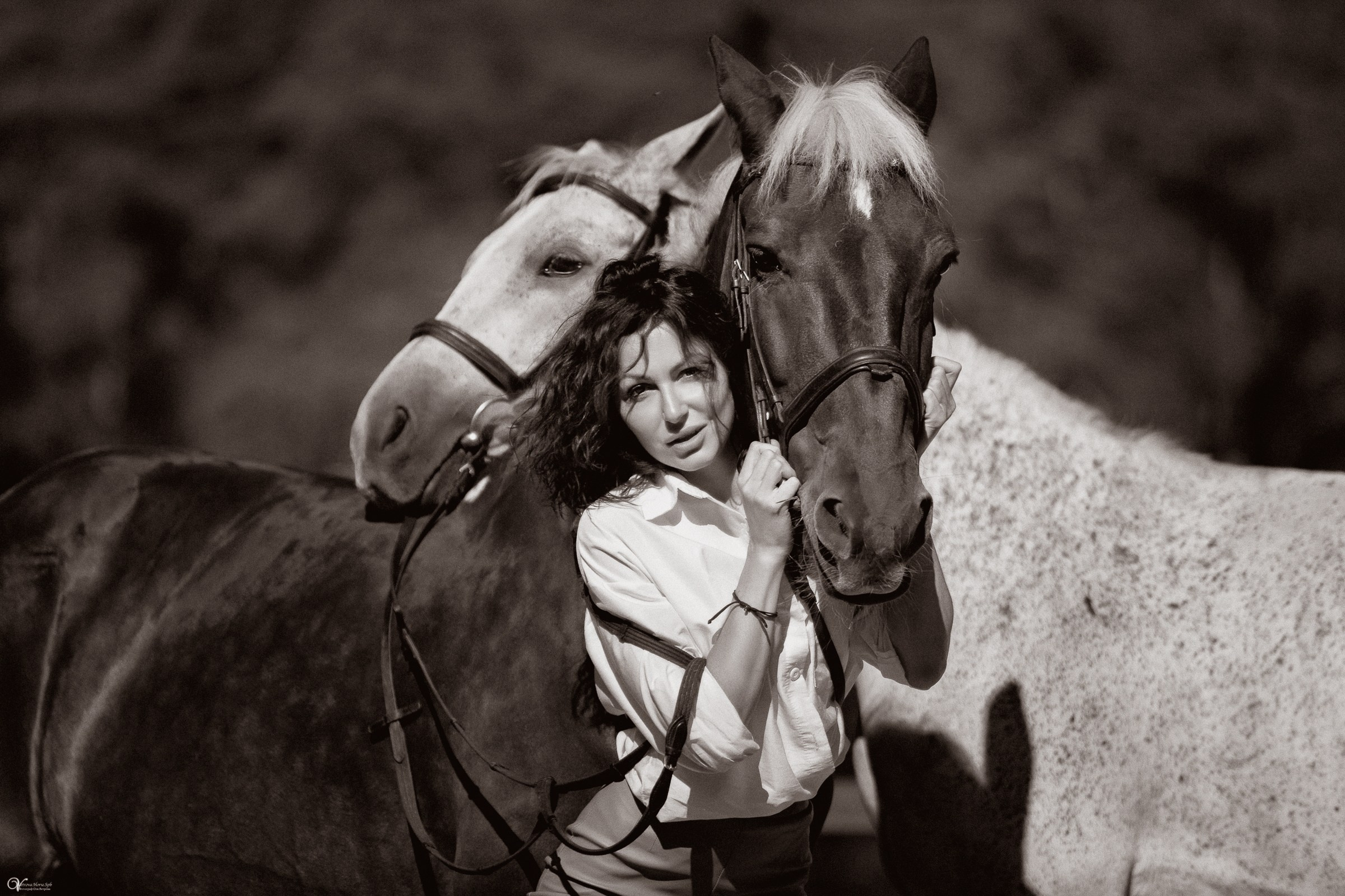 Фотосессия с лошадьми в катри-стиле. Фотограф женский и мужской портрет Санкт-Петербург