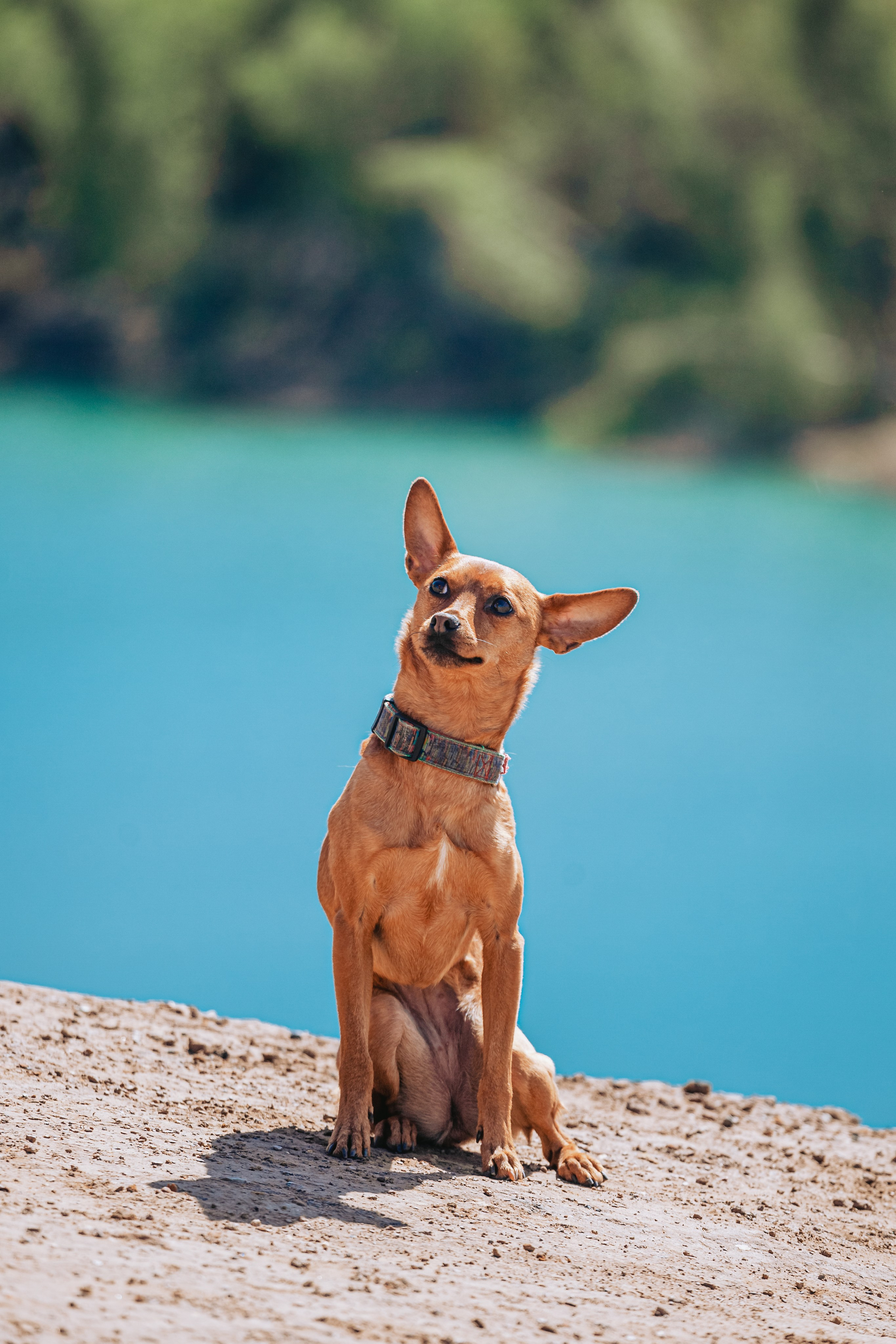 Кондуки. Фотограф-анималист Татьяна Степанова