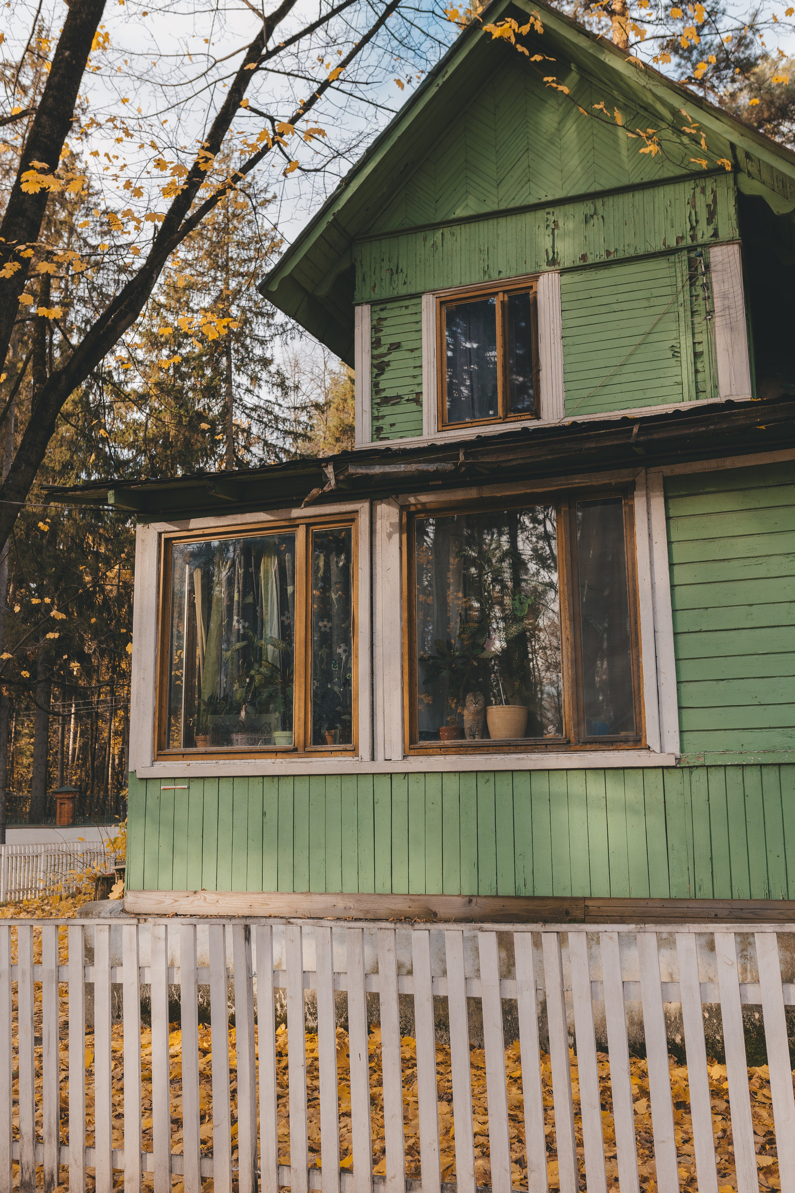 Репортаж школьной экскурсии. Семейный и женский фотограф в Москве Надежда Воробьева