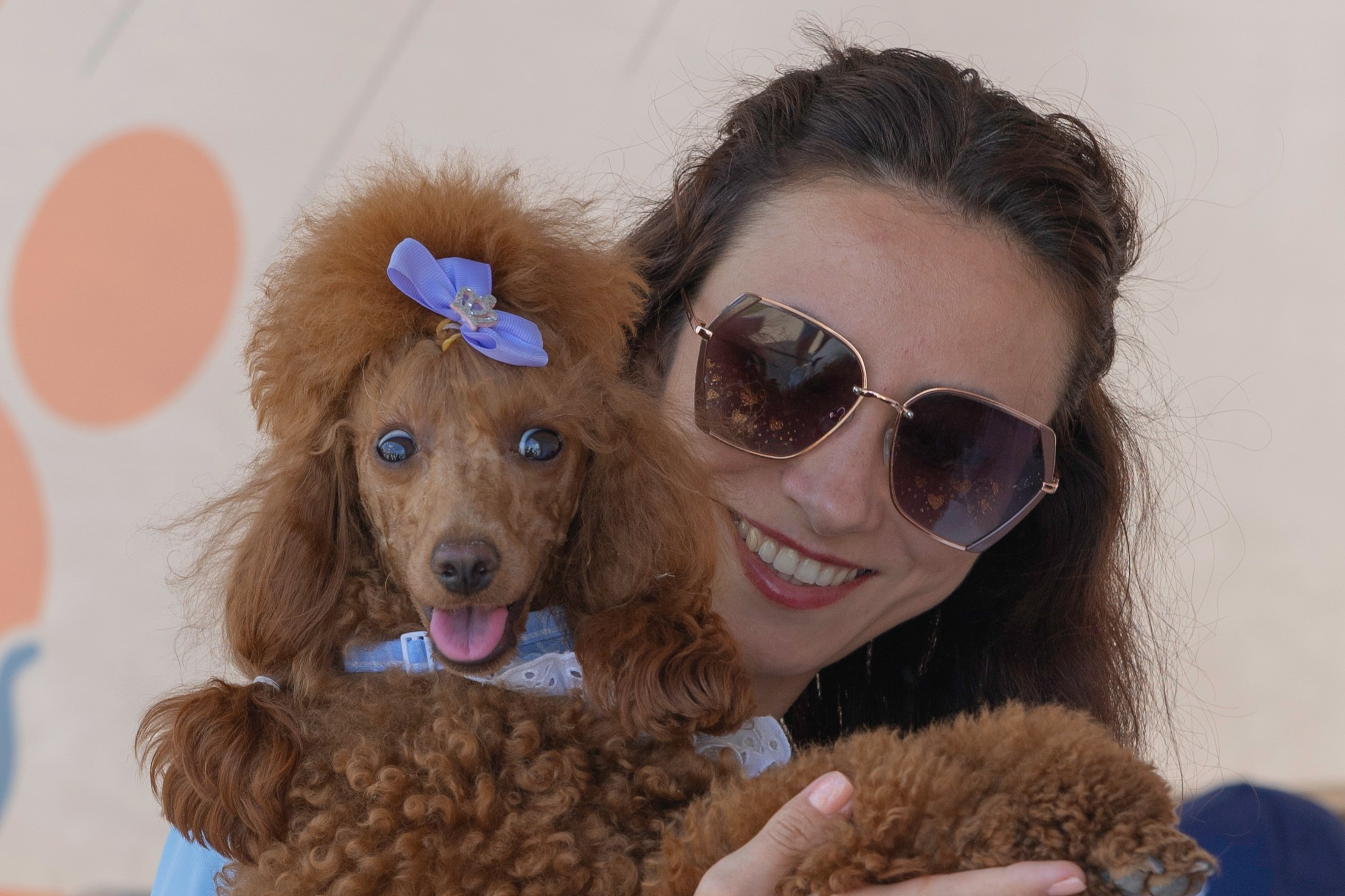 «ЛапкиФест». Фотограф, получающий удовольствие от своей работы