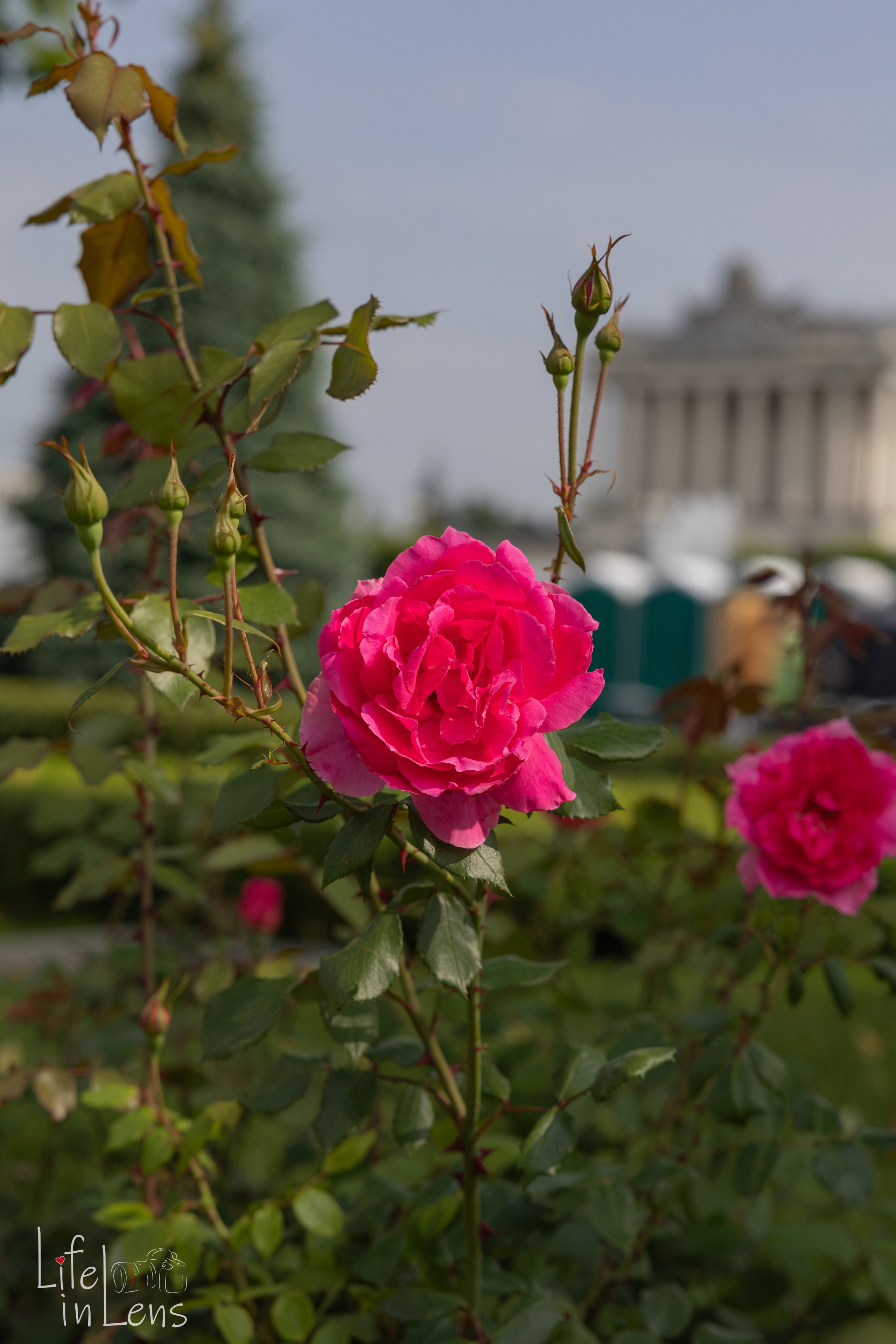 ВДНХ. День России. Фотограф, получающий удовольствие от своей работы