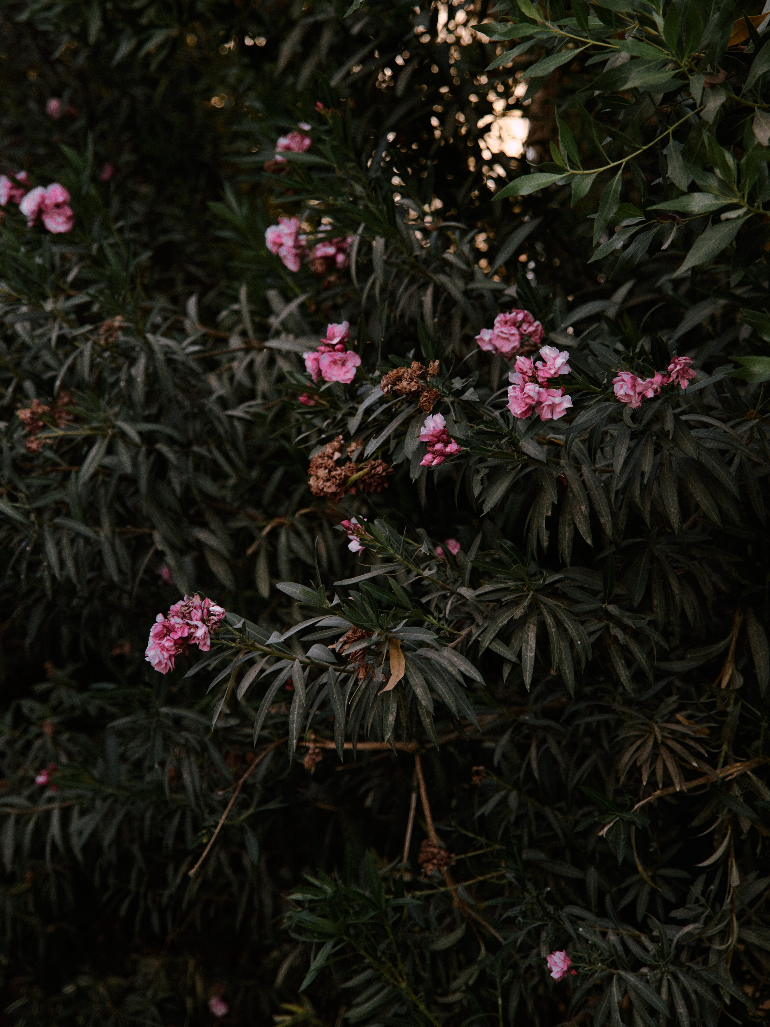 Природа. Jorgis Talè — photographer, kind person, teacher of arts and other mag