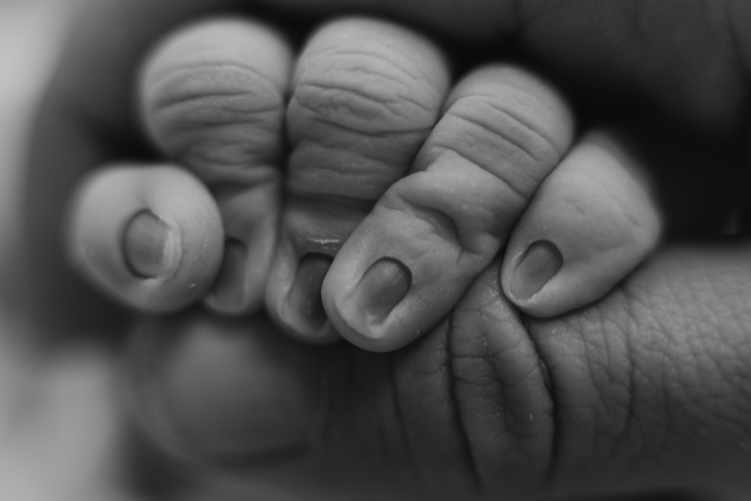 Фотограф на роды Екатерина Сысоева. Портфолио. Фотограф на роды в Санкт-Петербурге Екатерина Сысоева