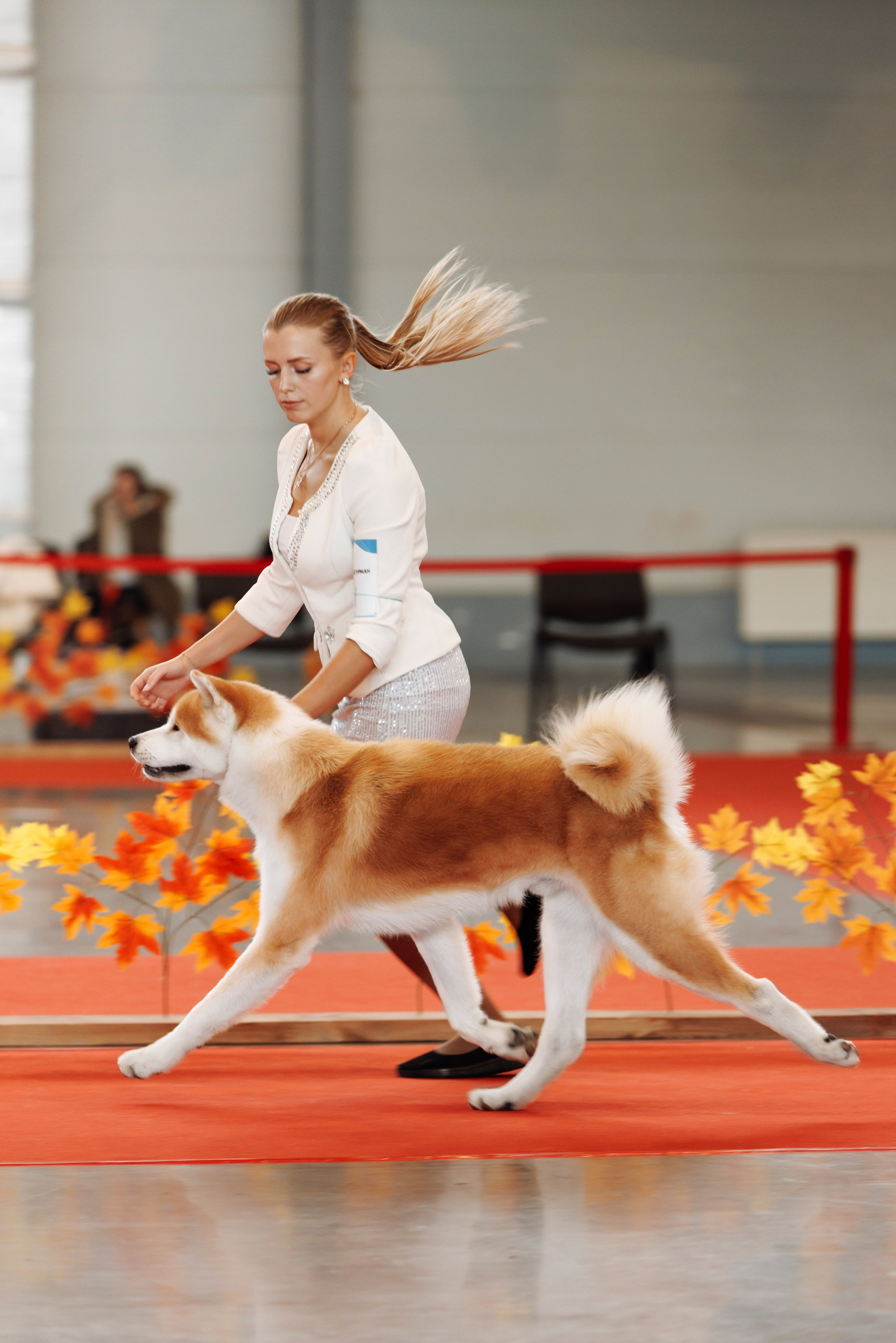 18/19.10.2025 — Екатеринбург. Фотограф-анималист Саша Вязьмина