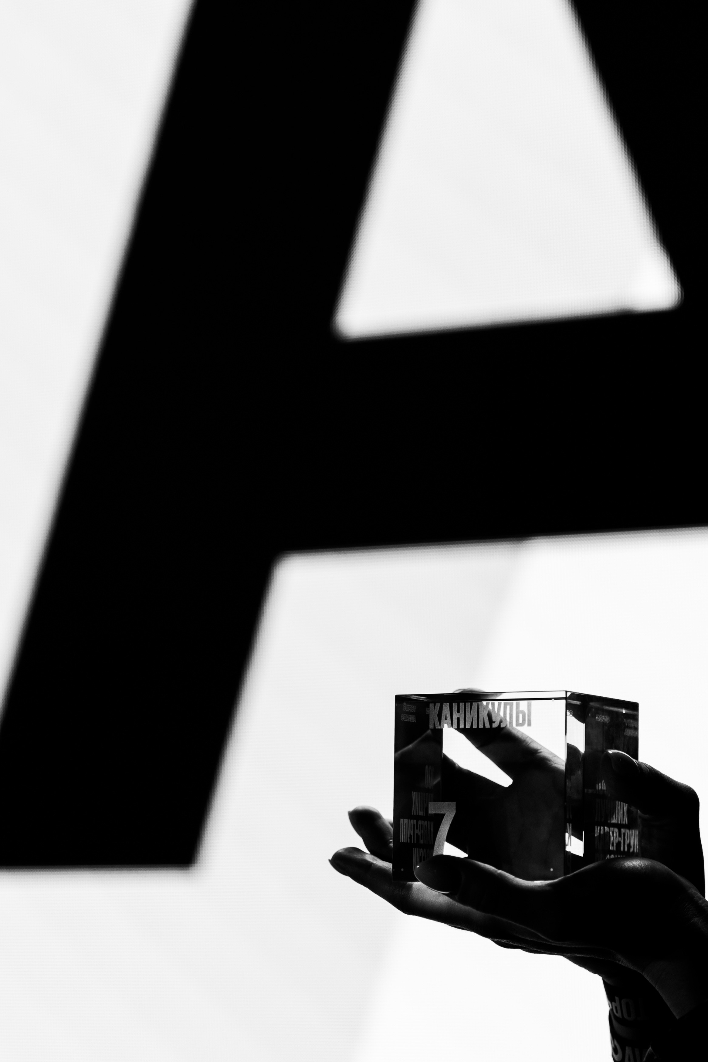 TOP100 AWARDS / 2025. Свадебный фотограф в Москве Евгений Рыжов