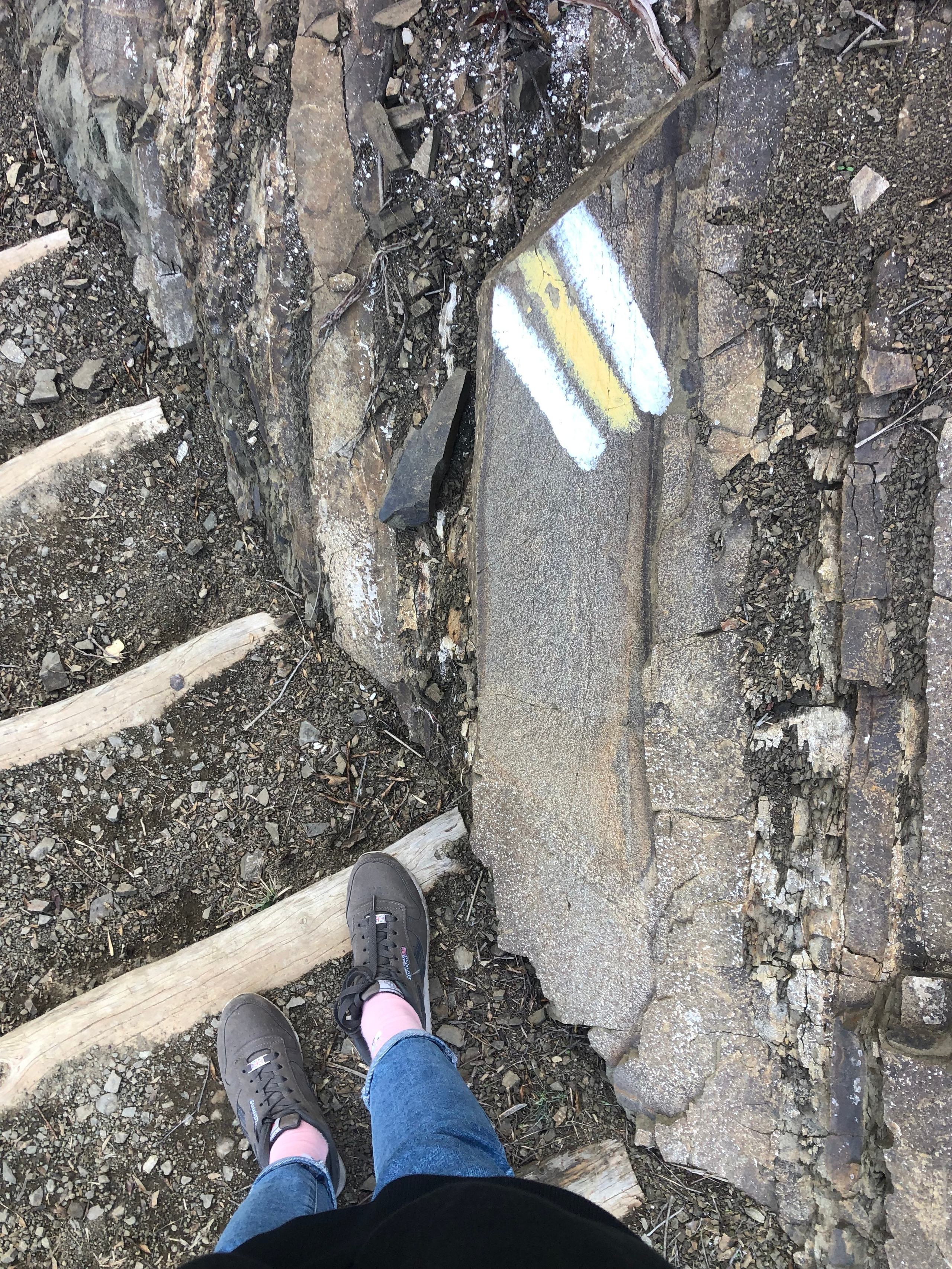 Черепашье озеро. Anita_photo