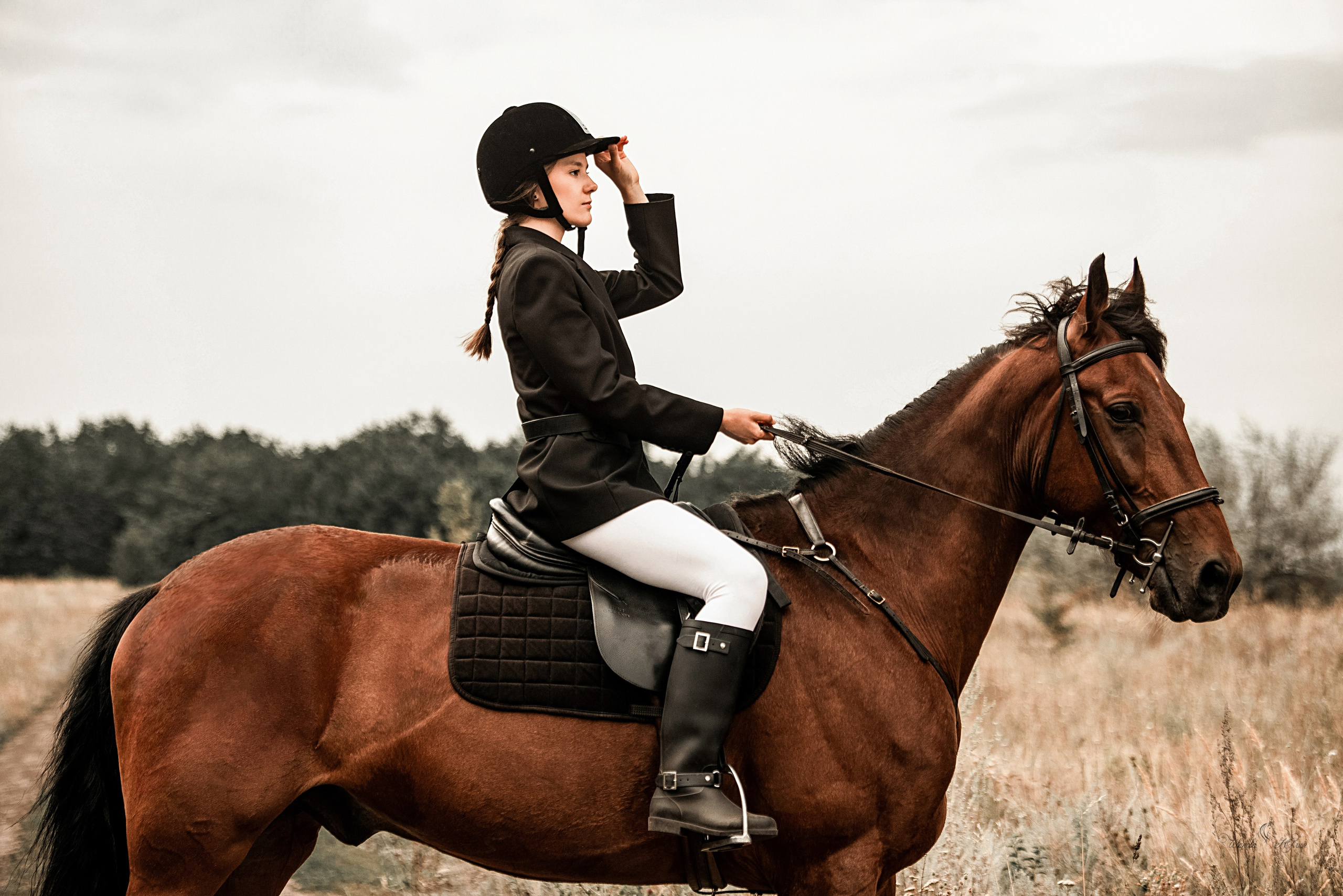 Всадница Ангелина и Финист. Конный фотограф в Саратове Юлия Иванова