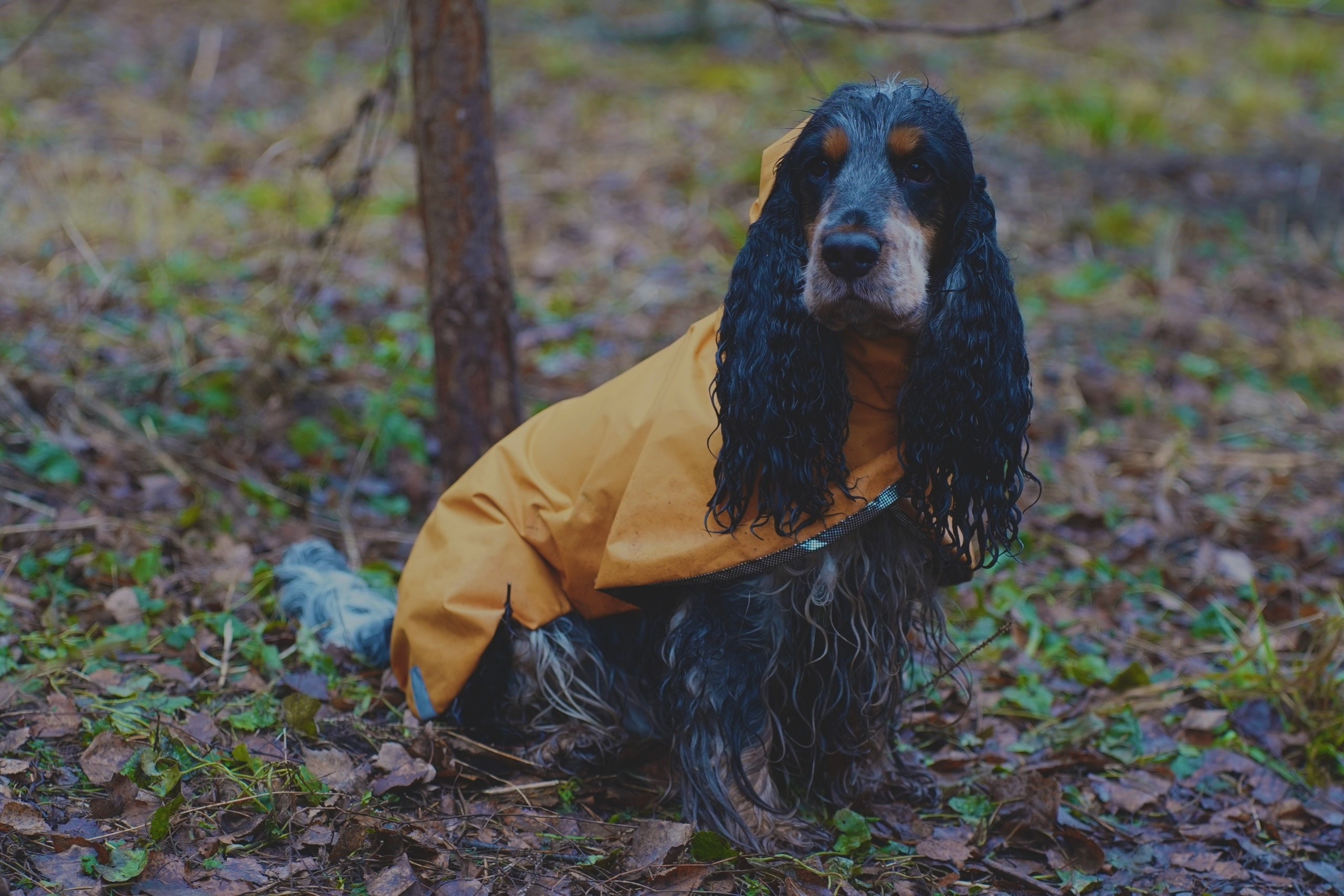 TIMYAN. Фотограф и визуальный художник в Туле / Николай Рейзвих