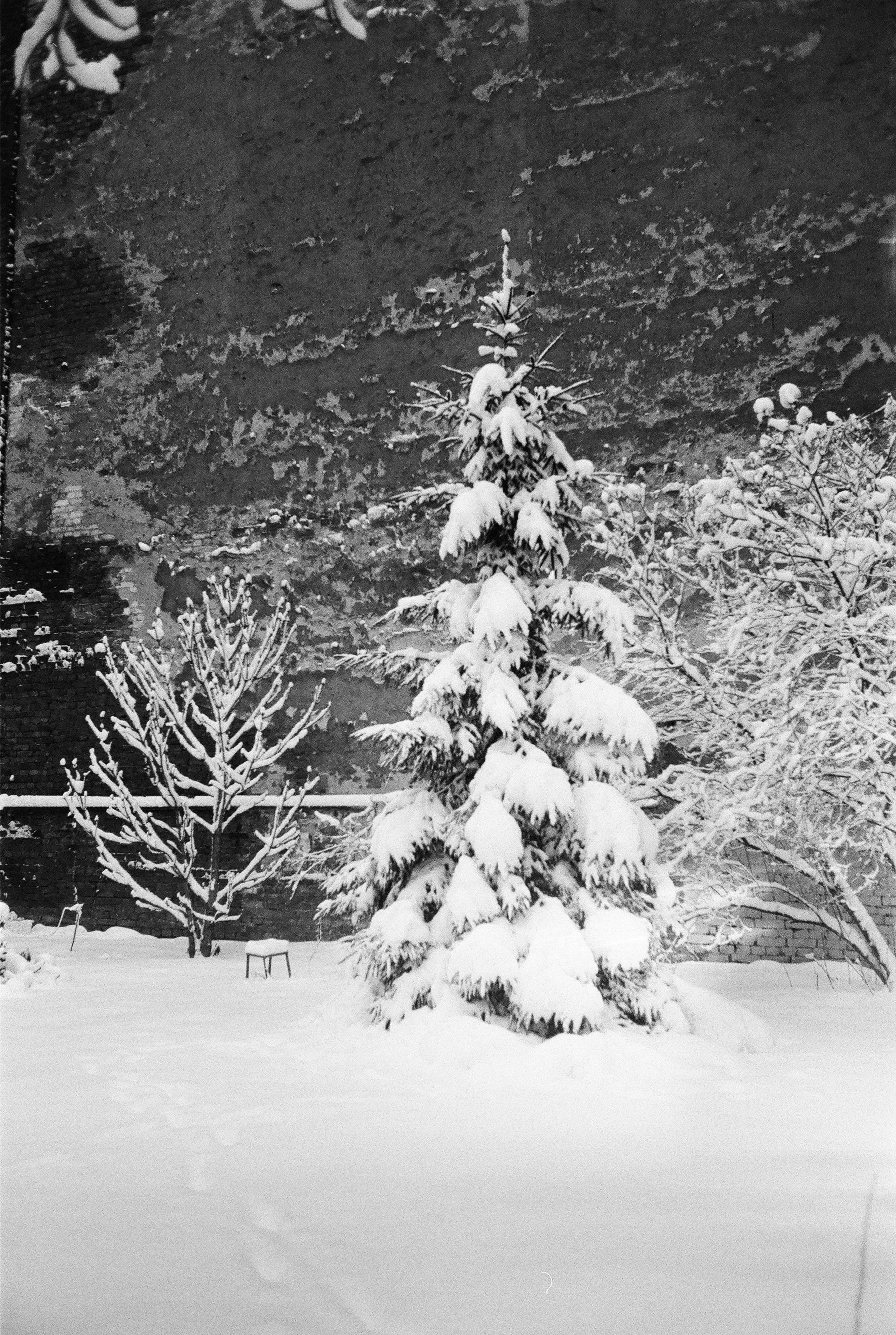 Фотографии черно-белые. Свадебный и семейный пленочный фотограф в Петербурге Истомина Ирина