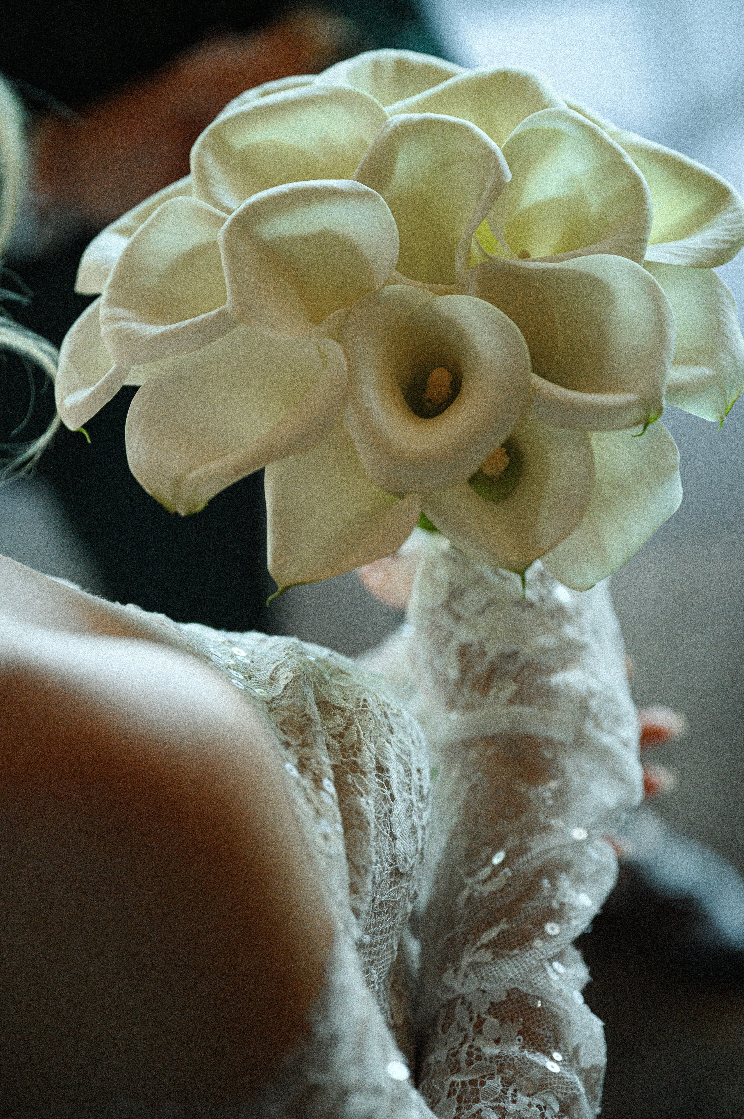 Илья & Алина