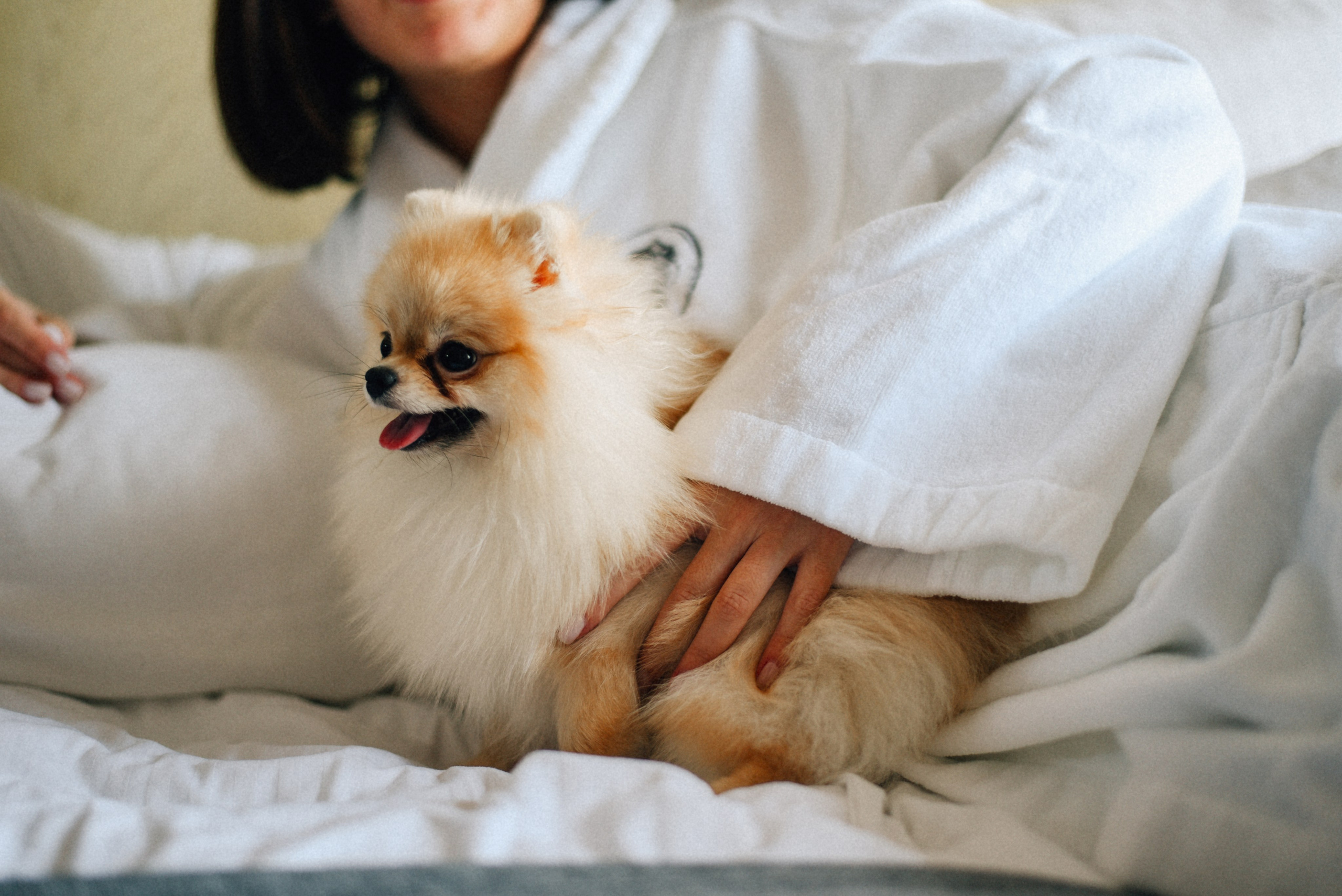 ARBAT HOUSE HOTEL. Фотограф Лола Волна, город Москва