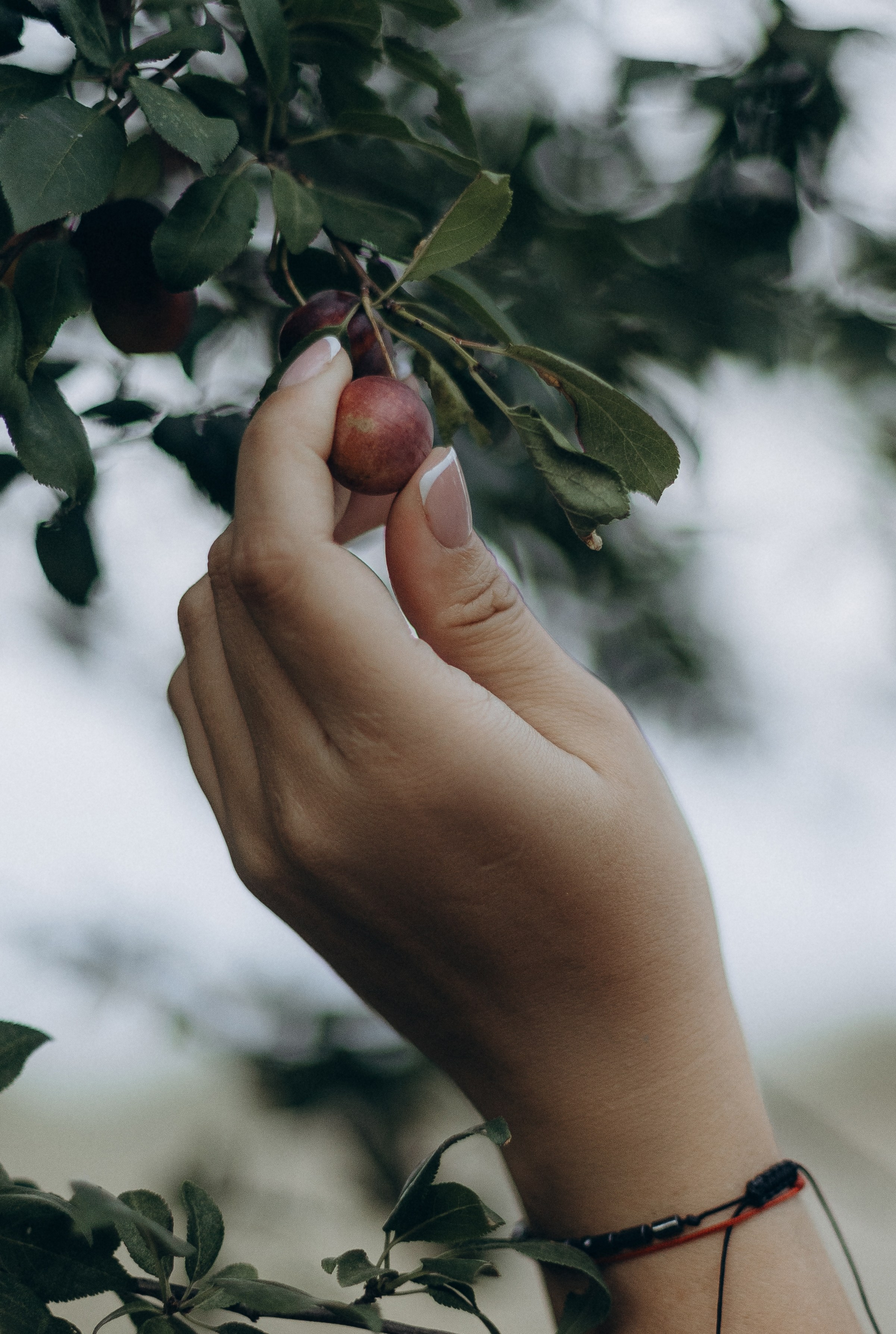 Марго и Дима. Главная