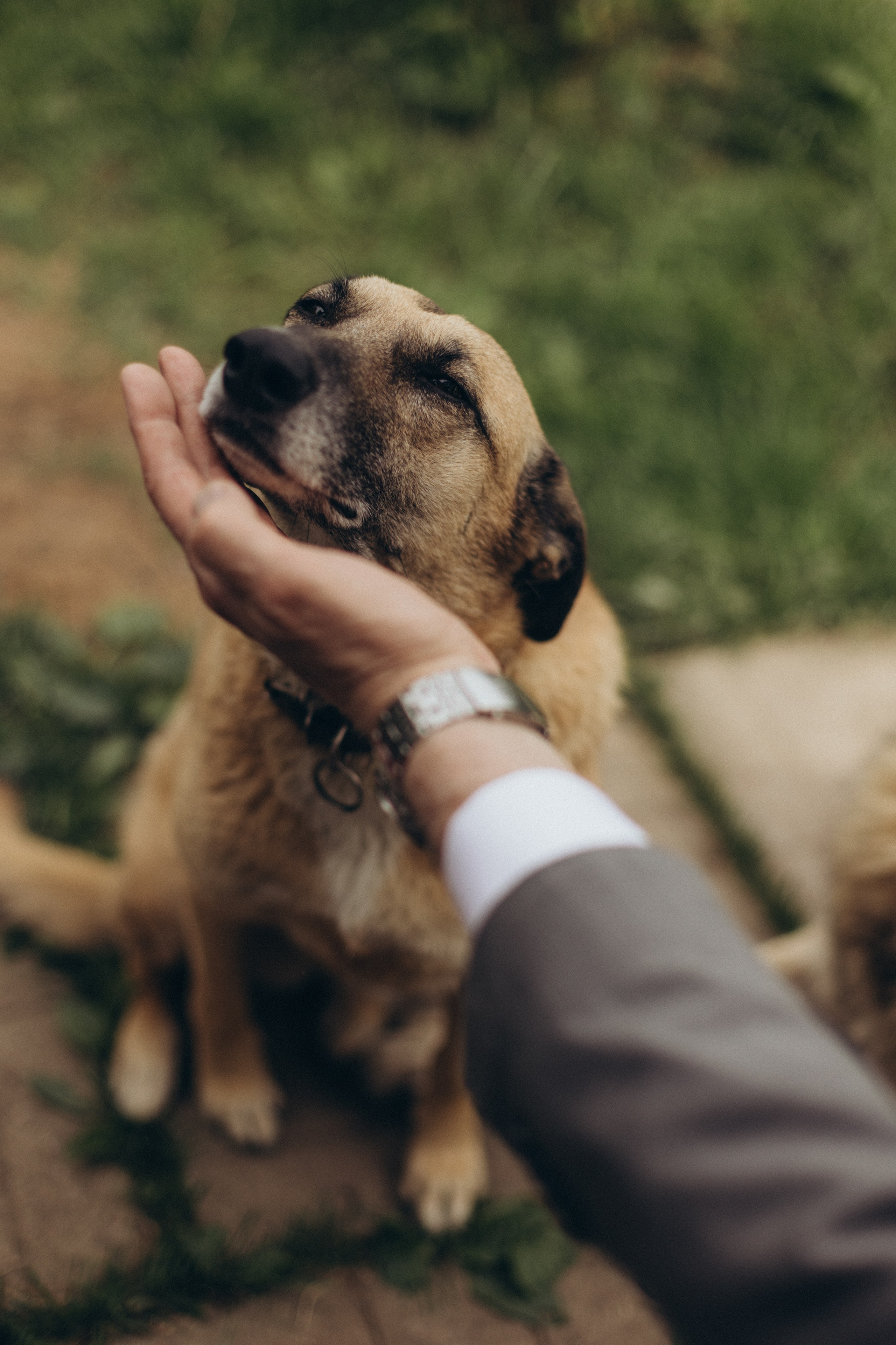 Доброе сердце. Фотограф из Петербурга