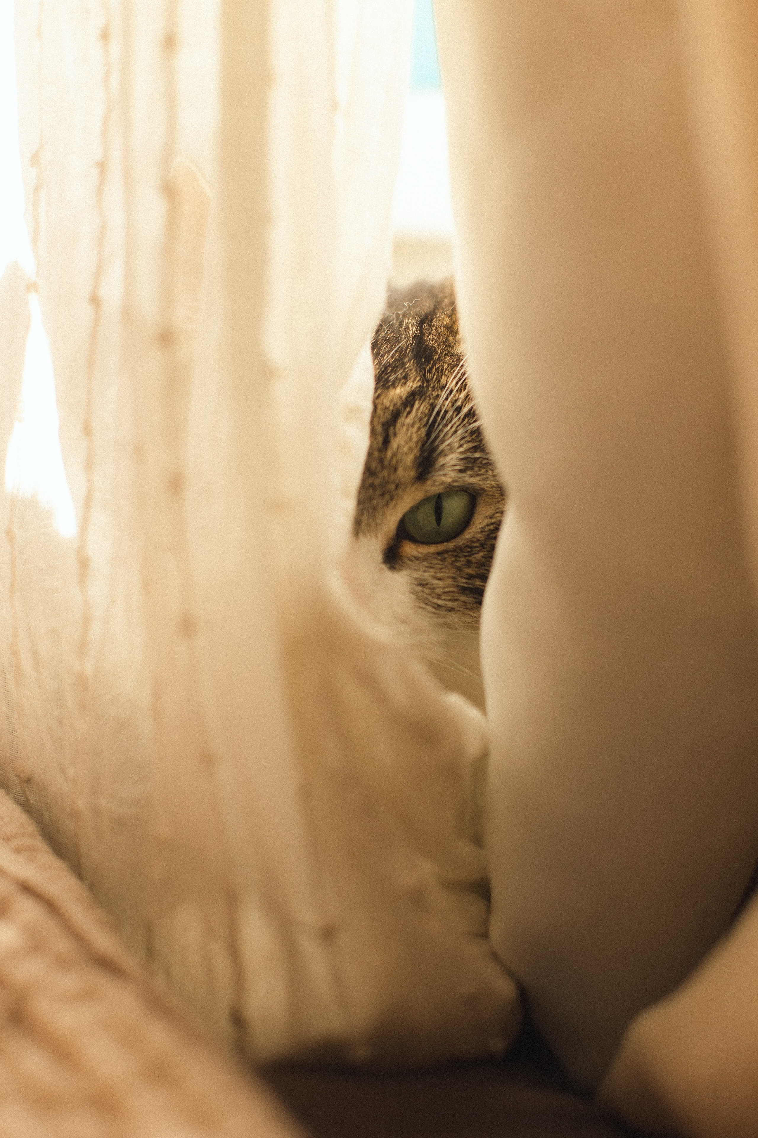 Весеннее настроение. Фотограф из Петербурга