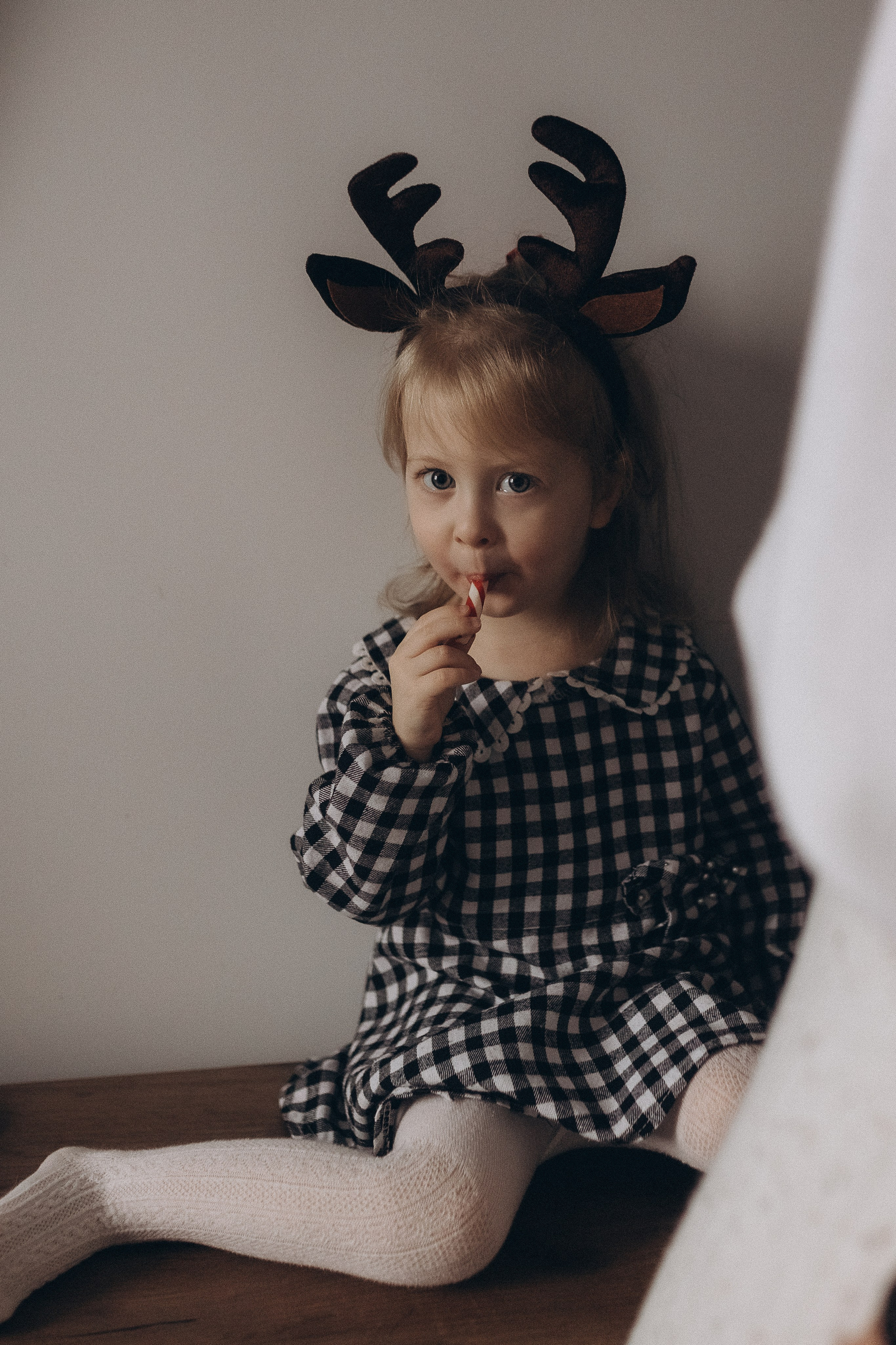 Предновогодняя суета. Фотограф из Петербурга