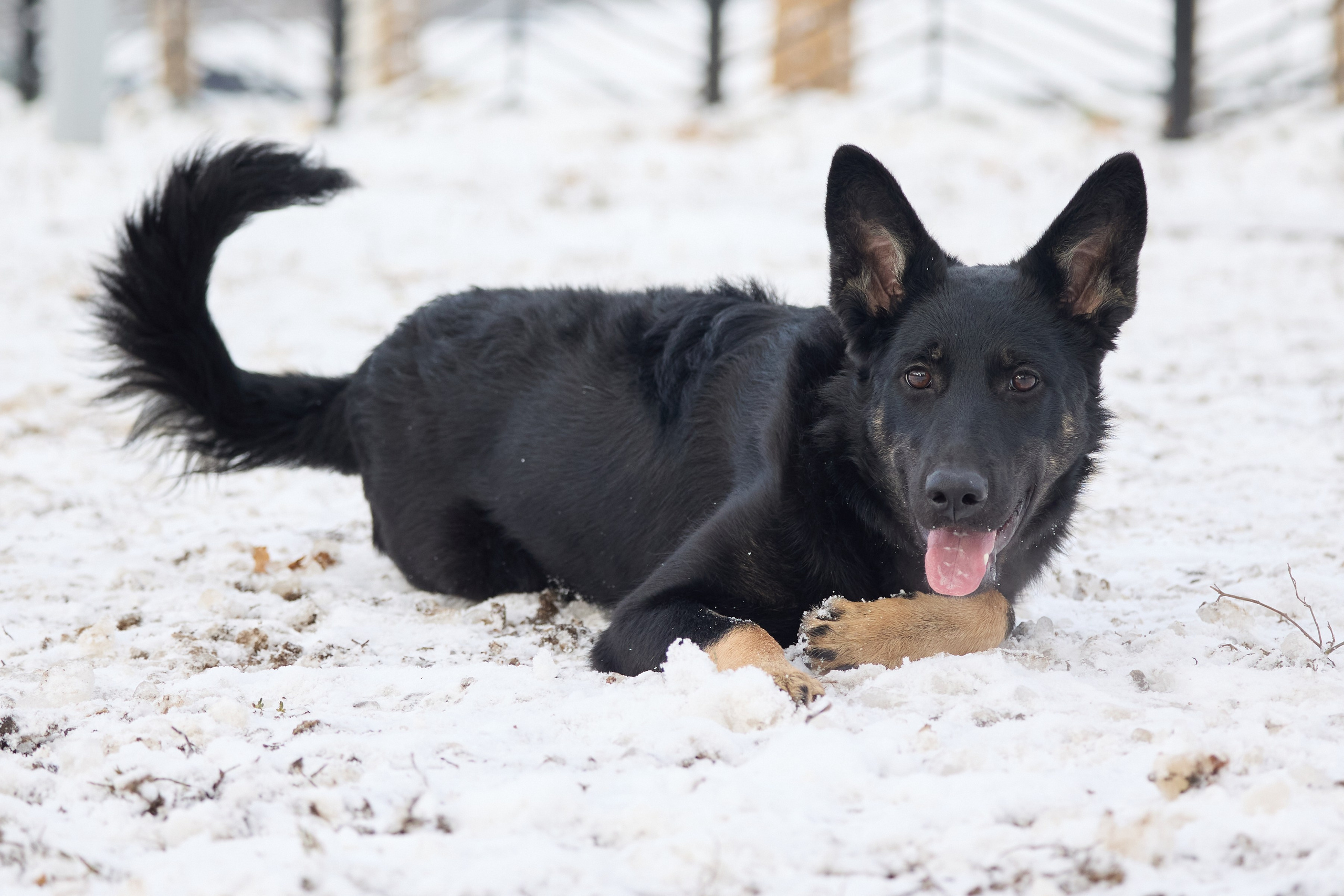 Пиар. Фотограф Ирина Астор