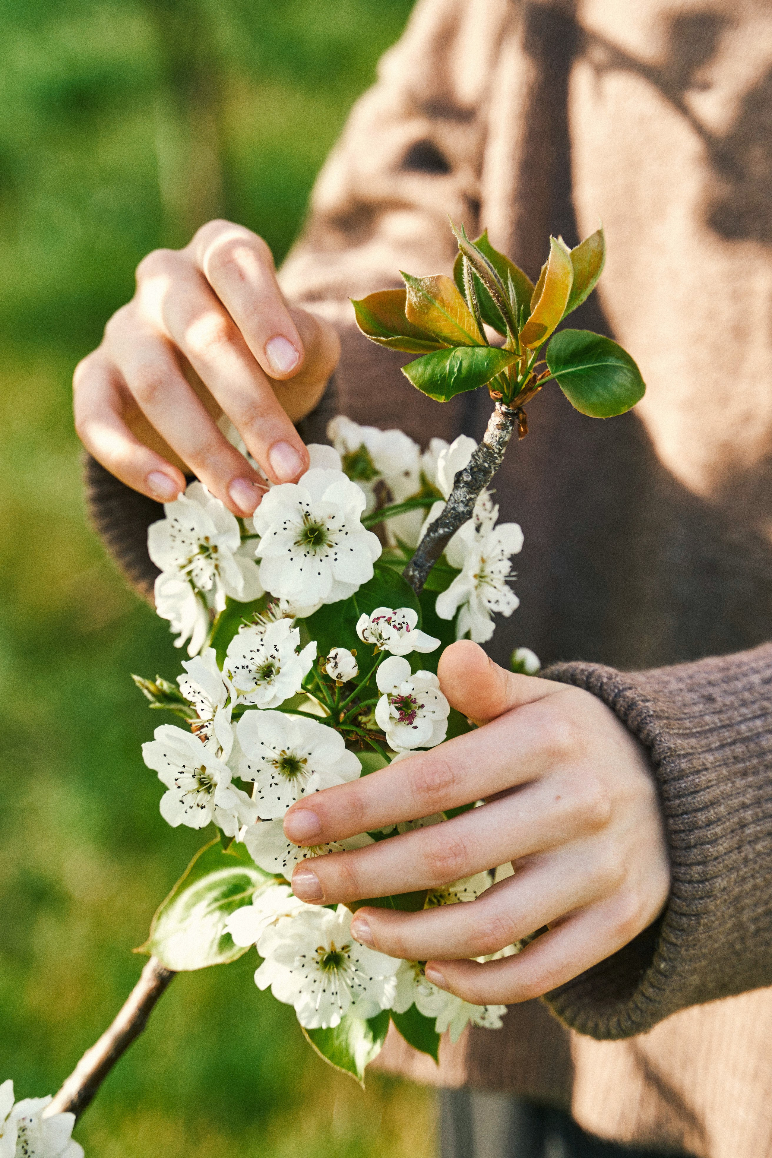 Фототур Абхазия Фотограф Сириус Фотограф Адлер Фотограф Гагра. Фотограф Абхазия|Цандрипш|Гагра|Сириус|Красная Поляна Артём Большаков
