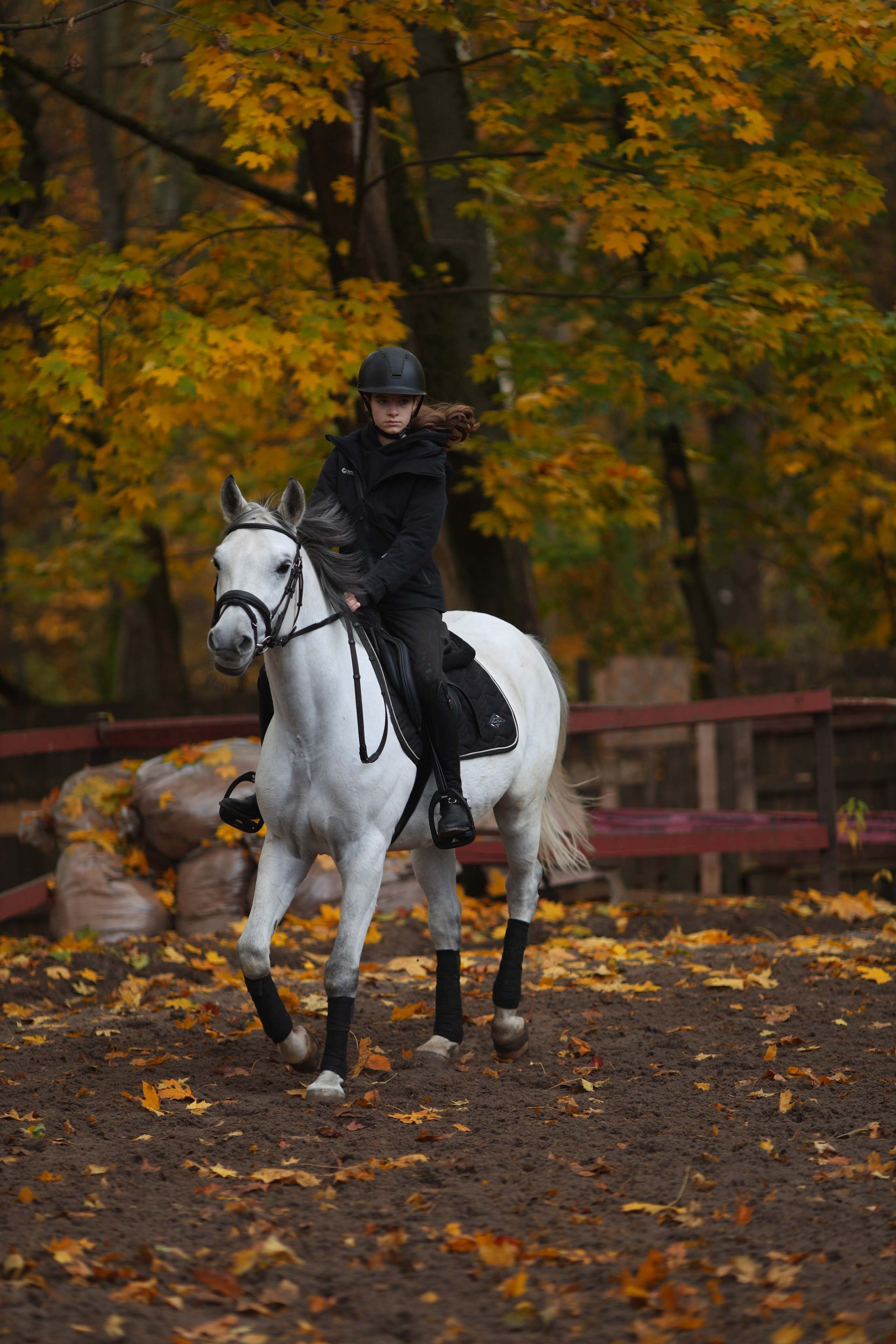 Фотосессия с животными. Фотограф Алина Рошаль. С 2017 года ловлю эмоции и превращаю их в нежные воспоминания для вас в Москве и Подмосковье