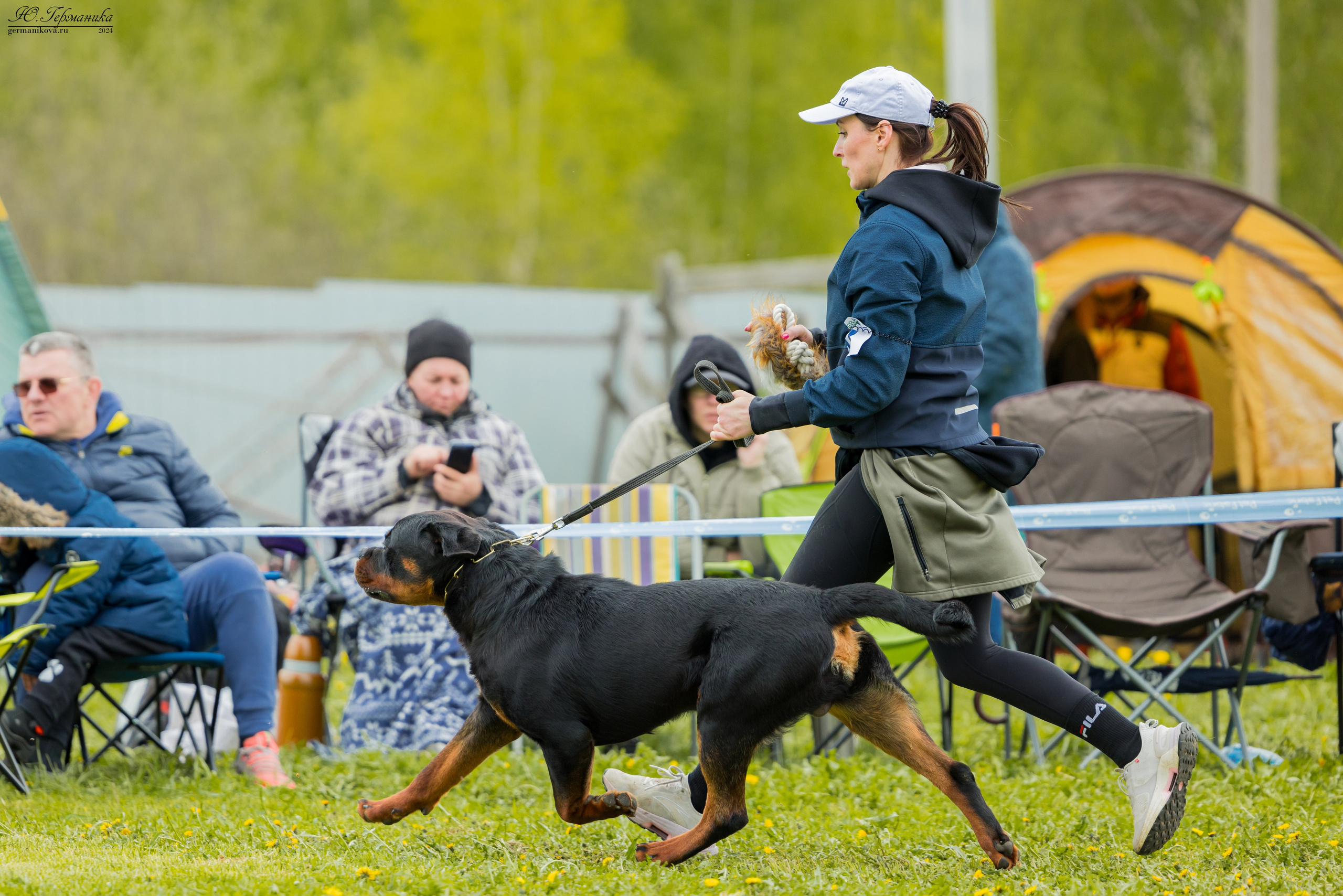 Нижний Новгород 11-12.05.2024 моно ротвейлеров. Фотограф-анималист Юлия Германика