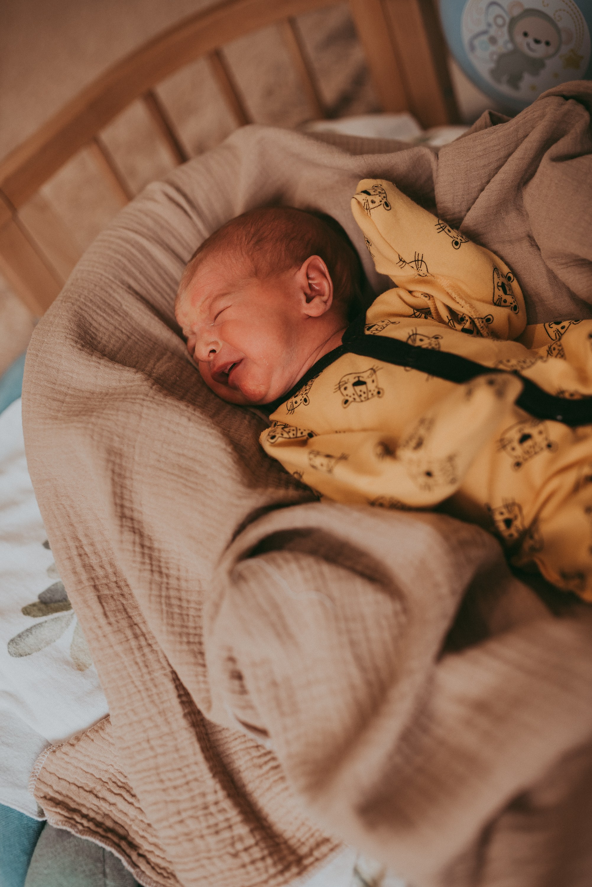 Маленький космос. Семейный и детский фотограф в Новосибирске и Краснообске — Анна Ким