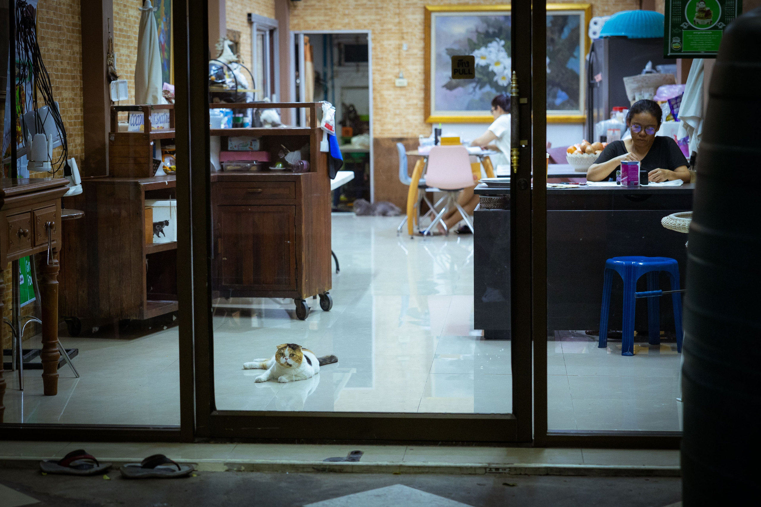 Таиланд (зима 2025). Фотограф Виноградов Константин