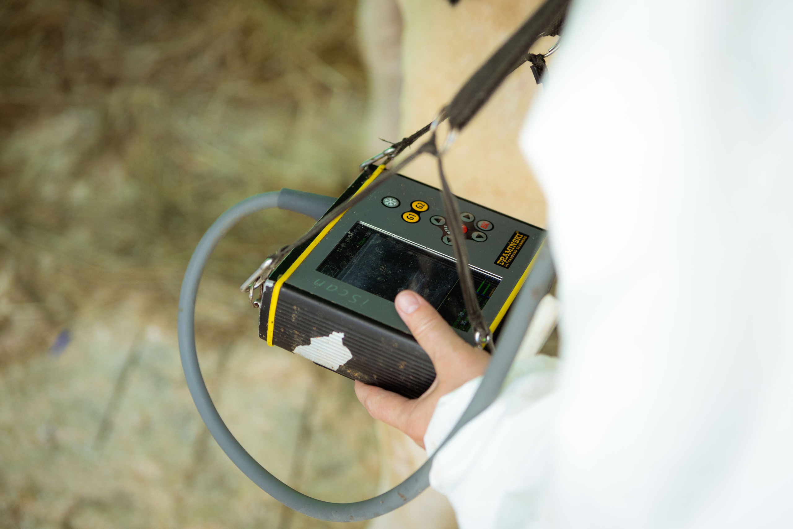 Конкурс операторов осеменения коров [17-18 августа 2022 г.]. Фотограф Виноградов Константин