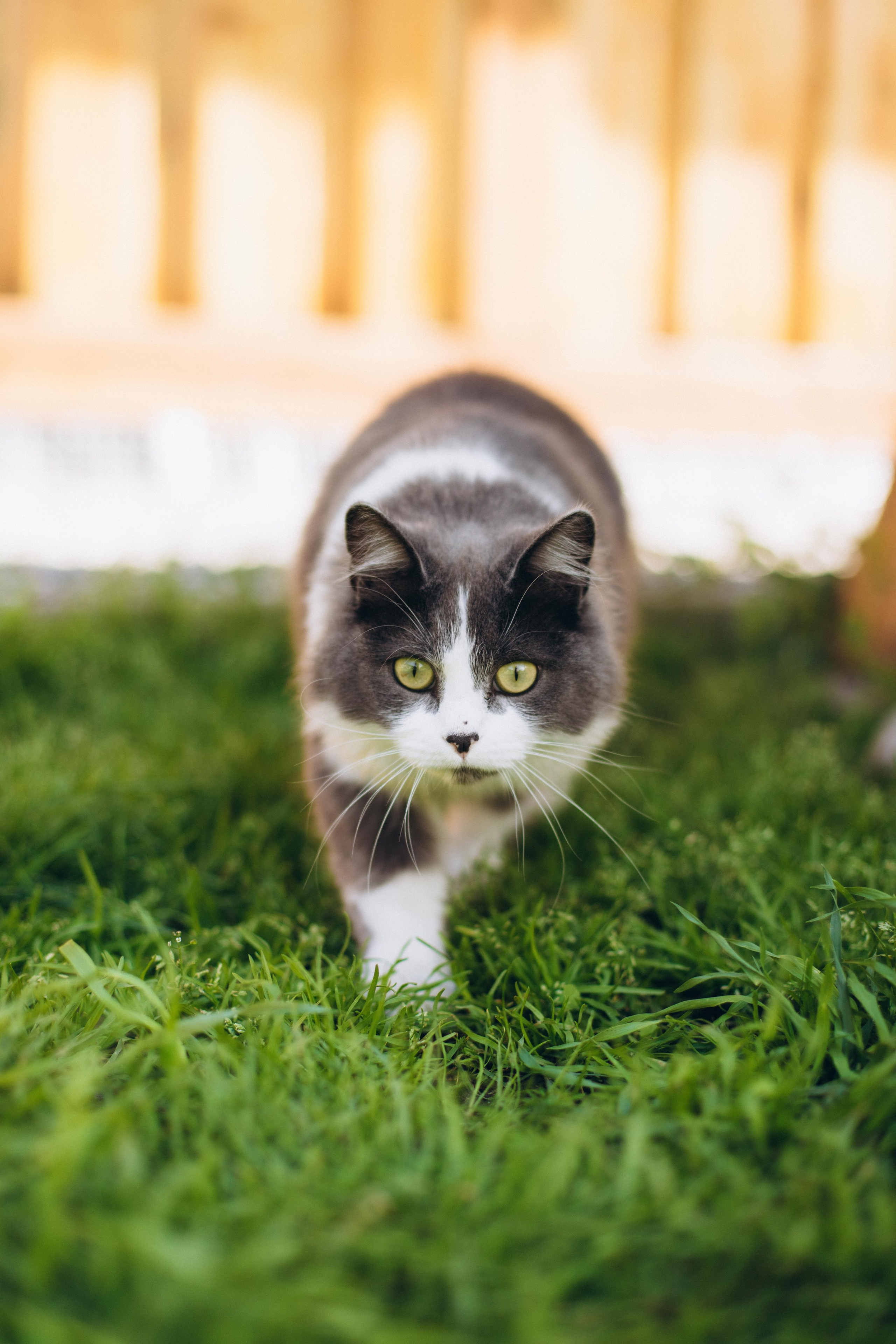 Андрею 1 годик. Фотограф Наталья Кургина Слюдянка Иркутск