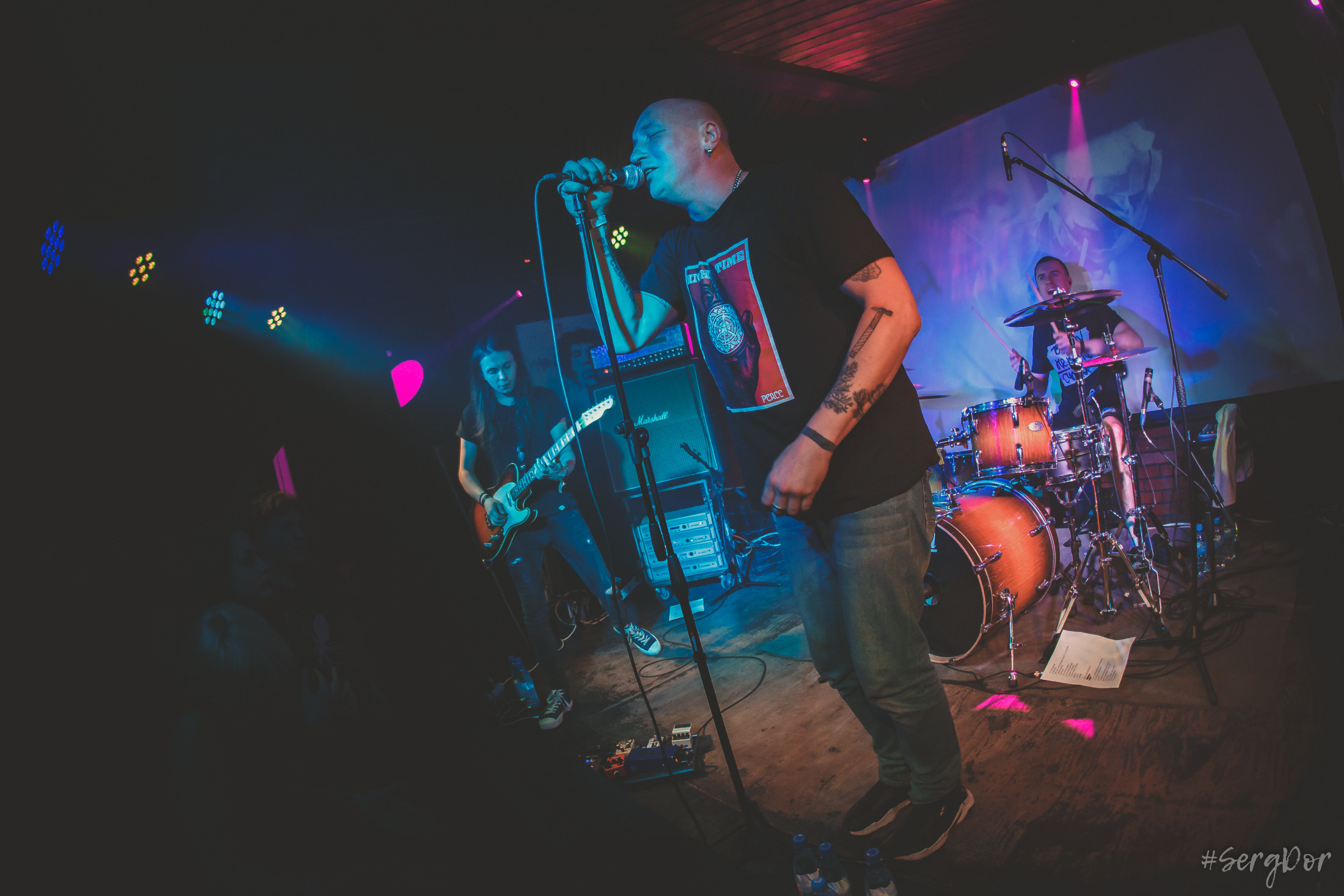 Пионерлагерь Пыльная Радуга, Собака Милле, Тверь, ППР, 01.05.2022, SergDor, 1 мая 2022 года, #SergDor