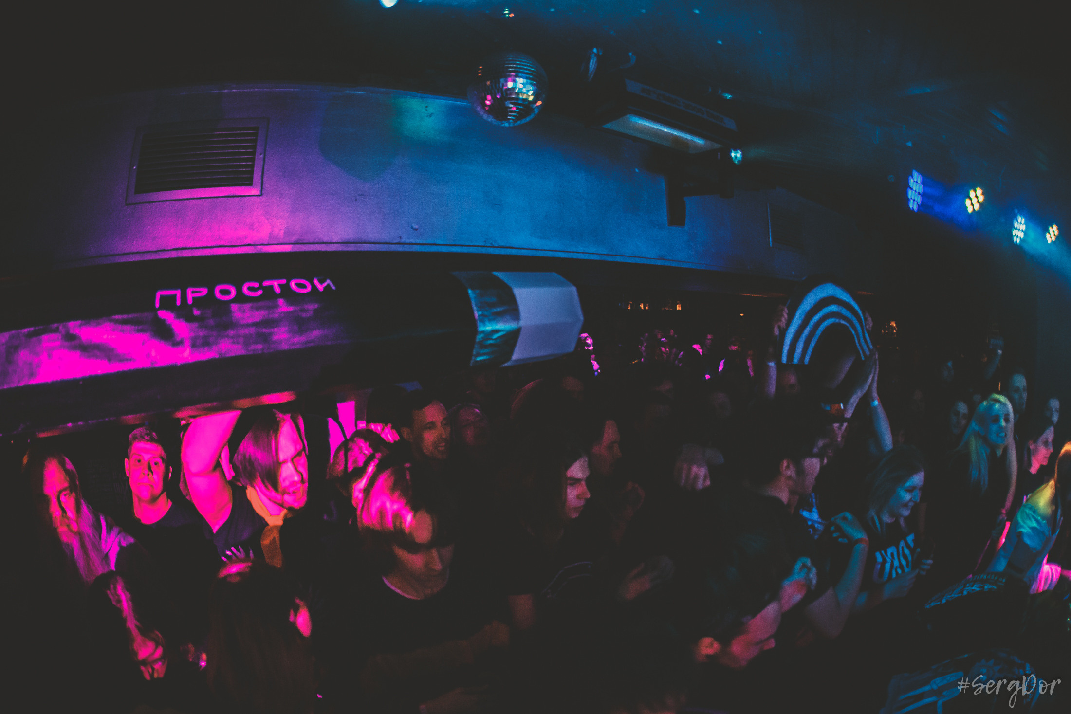 Пионерлагерь Пыльная Радуга, Собака Милле, Тверь, ППР, 01.05.2022, SergDor, 1 мая 2022 года, #SergDor