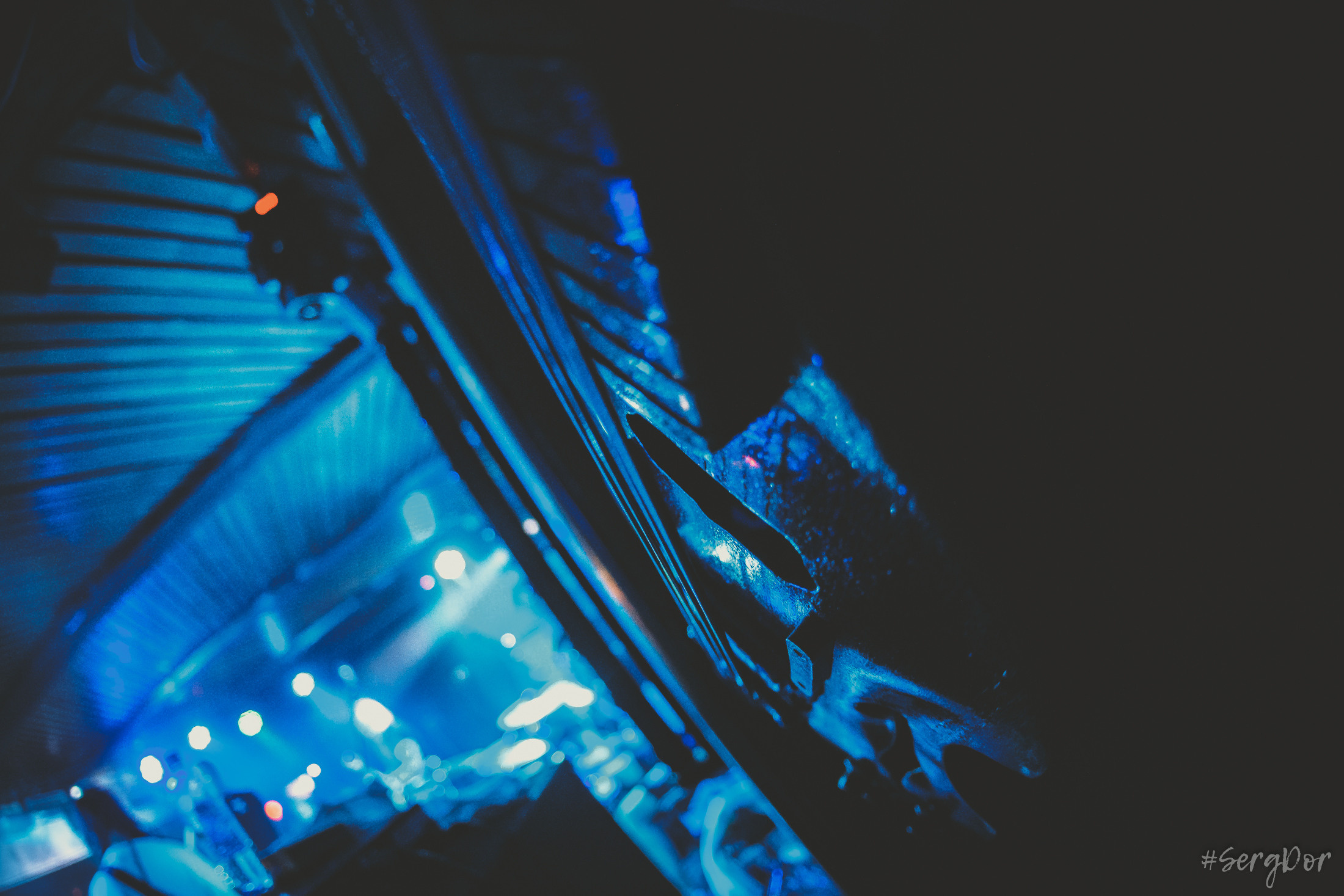 Пионерлагерь Пыльная Радуга, Собака Милле, Тверь, ППР, 01.05.2022, SergDor, 1 мая 2022 года, #SergDor