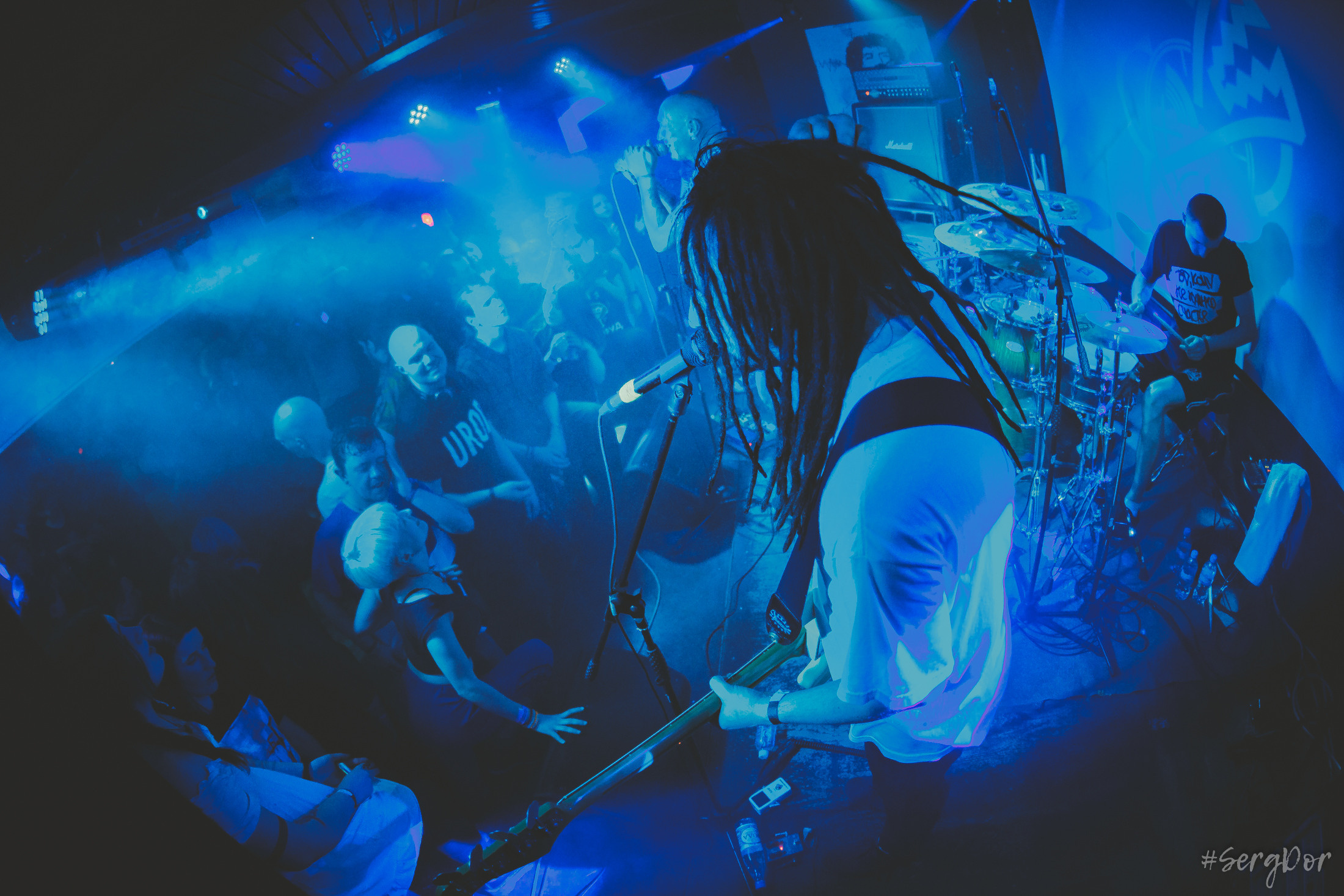 Пионерлагерь Пыльная Радуга, Собака Милле, Тверь, ППР, 01.05.2022, SergDor, 1 мая 2022 года, #SergDor