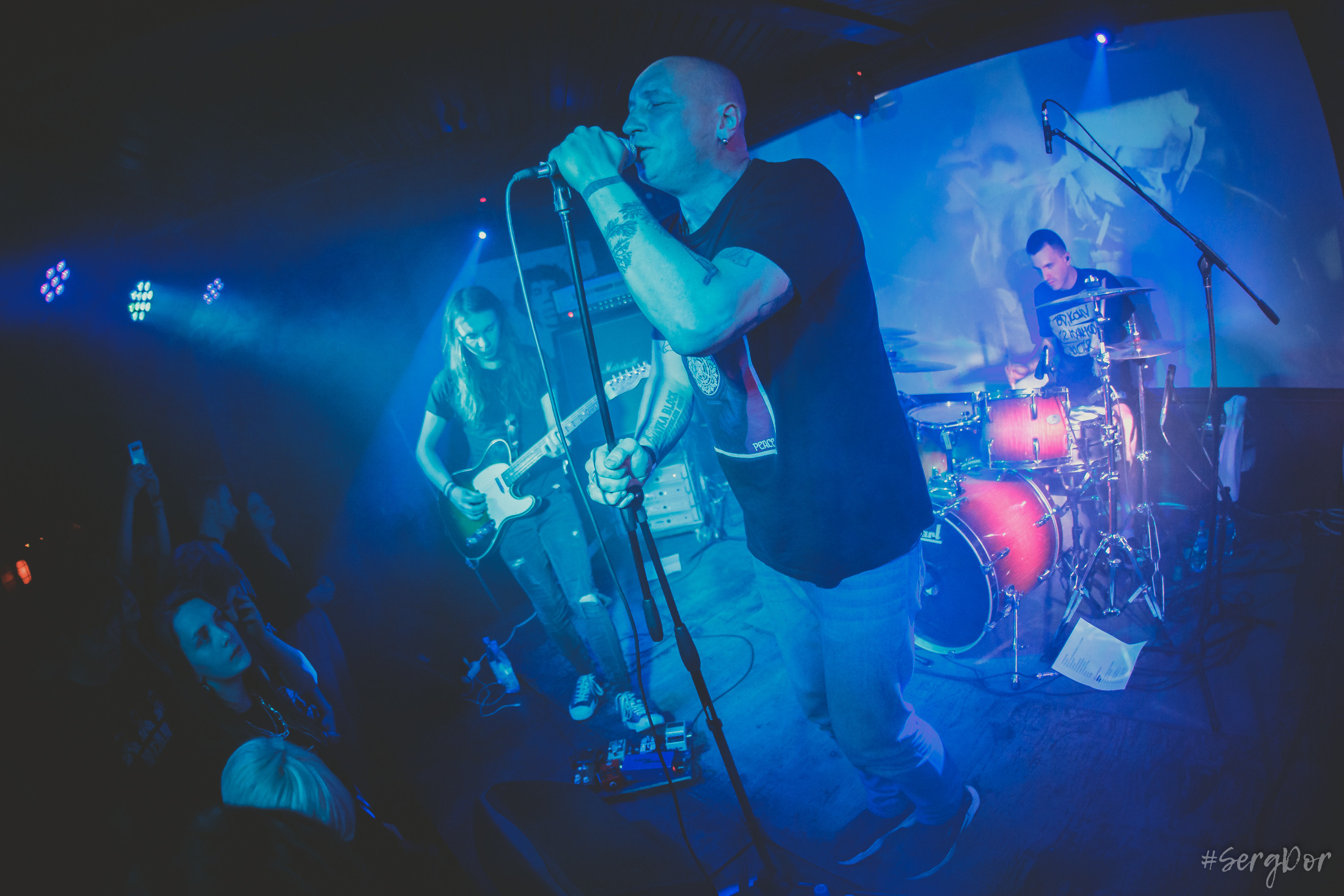 Пионерлагерь Пыльная Радуга, Собака Милле, Тверь, ППР, 01.05.2022, SergDor, 1 мая 2022 года, #SergDor