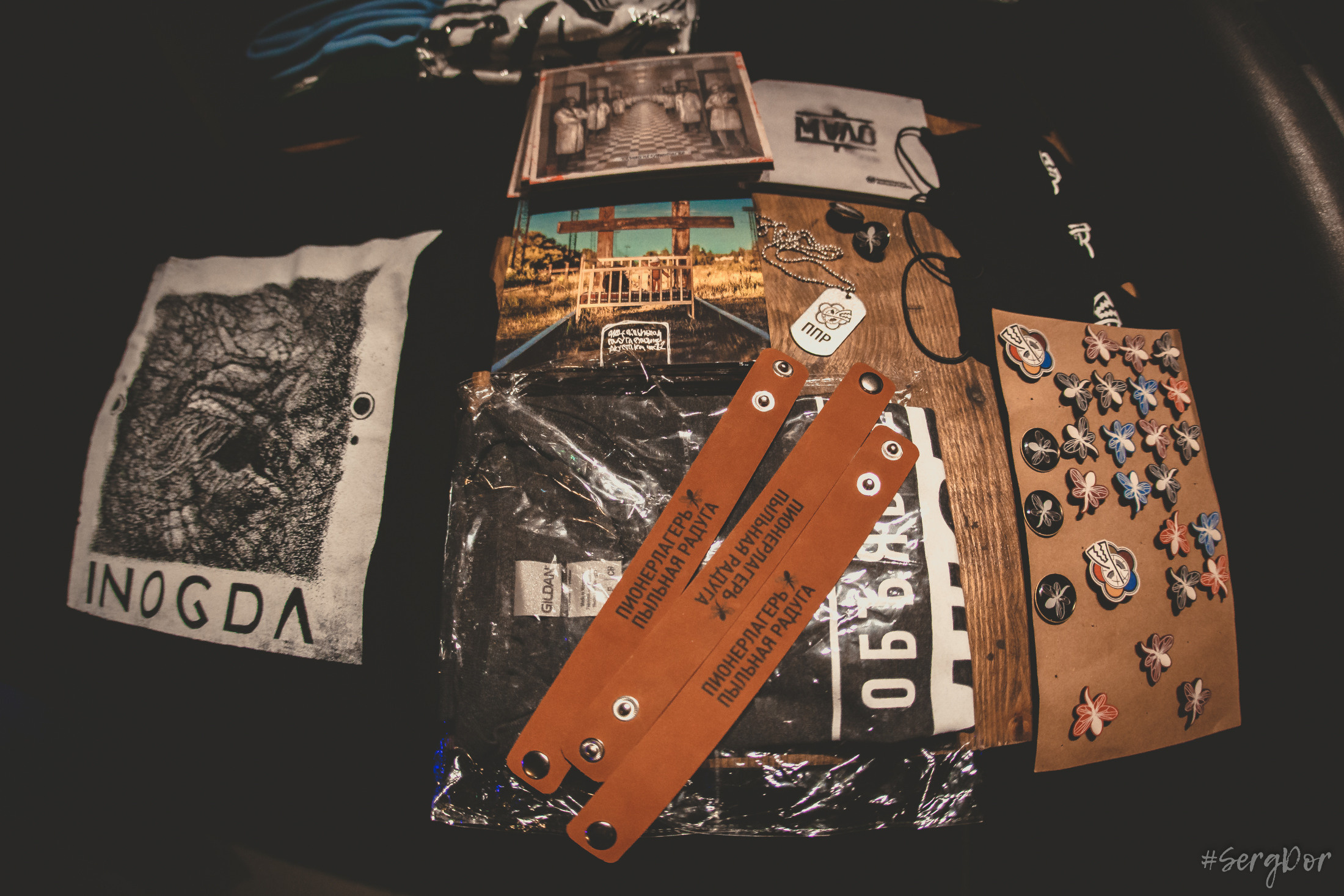 Пионерлагерь Пыльная Радуга, Собака Милле, Тверь, ППР, 01.05.2022, SergDor, 1 мая 2022 года, #SergDor