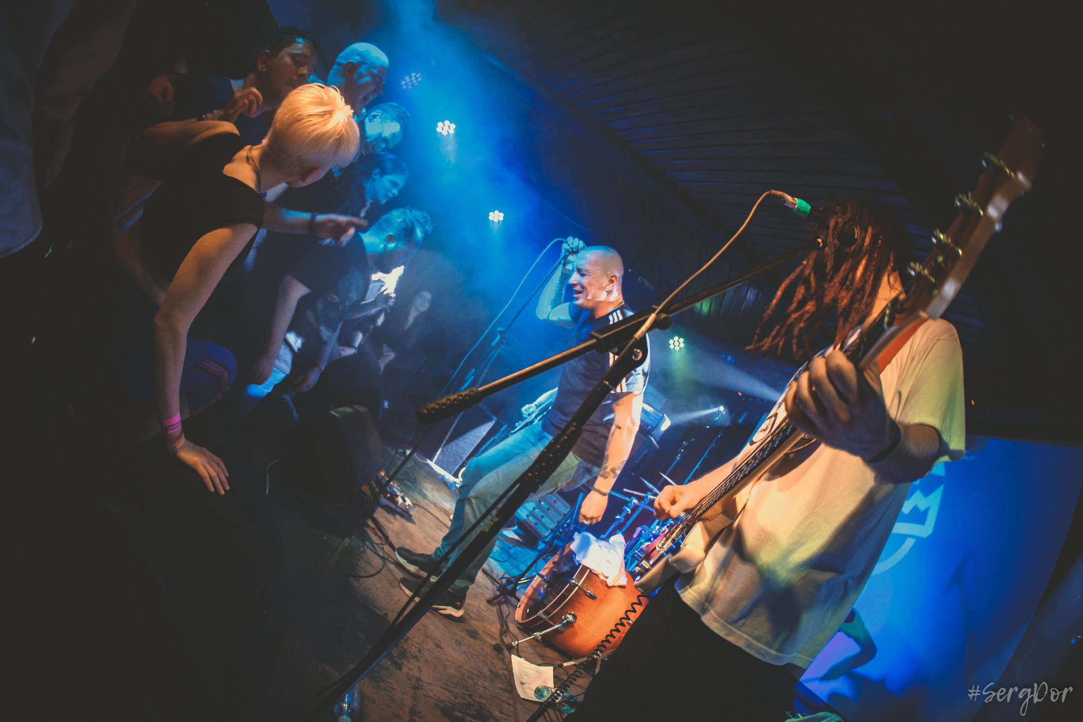 Пионерлагерь Пыльная Радуга, Собака Милле, Тверь, ППР, 01.05.2022, SergDor, 1 мая 2022 года, #SergDor