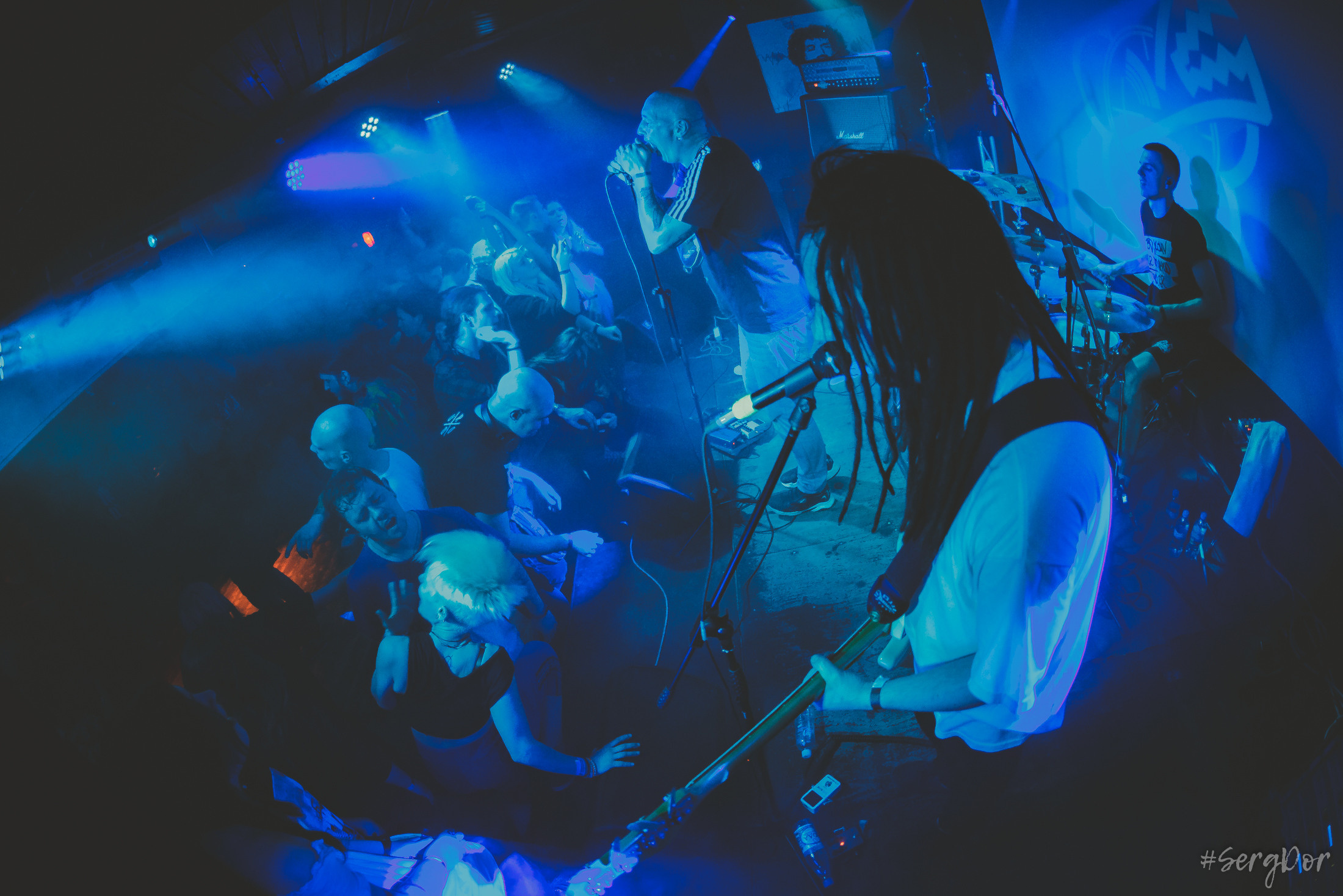 Пионерлагерь Пыльная Радуга, Собака Милле, Тверь, ППР, 01.05.2022, SergDor, 1 мая 2022 года, #SergDor