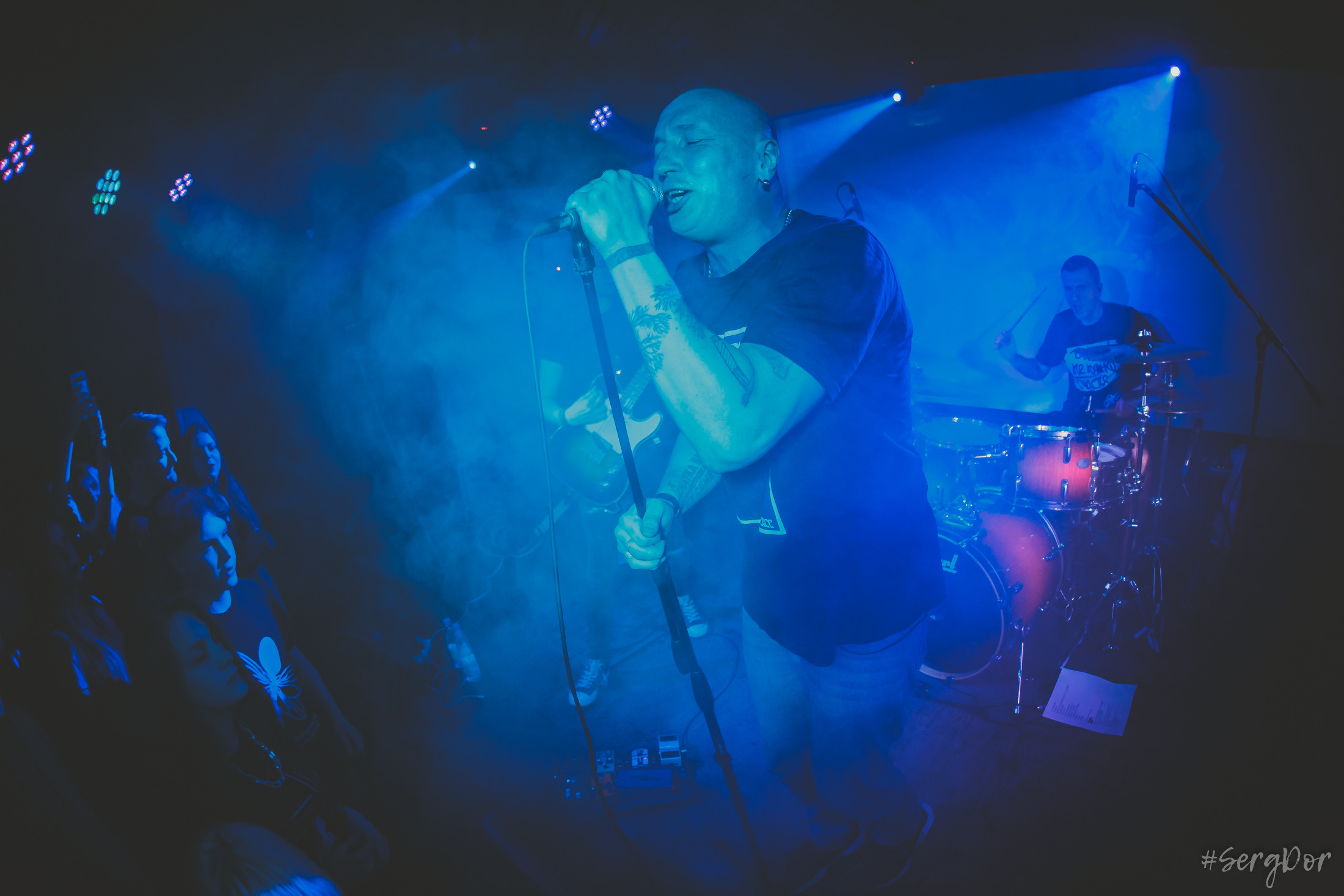 Пионерлагерь Пыльная Радуга, Собака Милле, Тверь, ППР, 01.05.2022, SergDor, 1 мая 2022 года, #SergDor