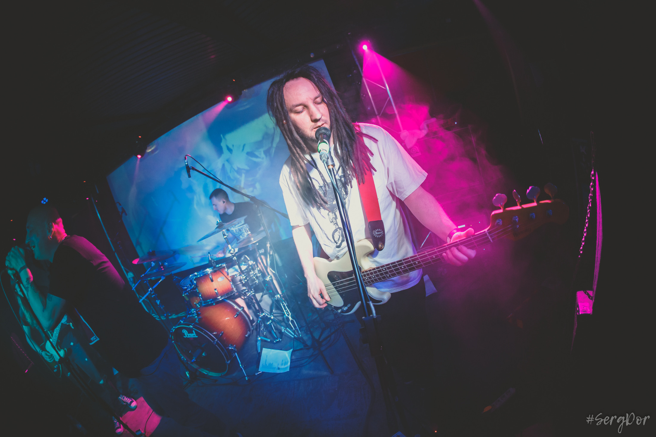 Пионерлагерь Пыльная Радуга, Собака Милле, Тверь, ППР, 01.05.2022, SergDor, 1 мая 2022 года, #SergDor