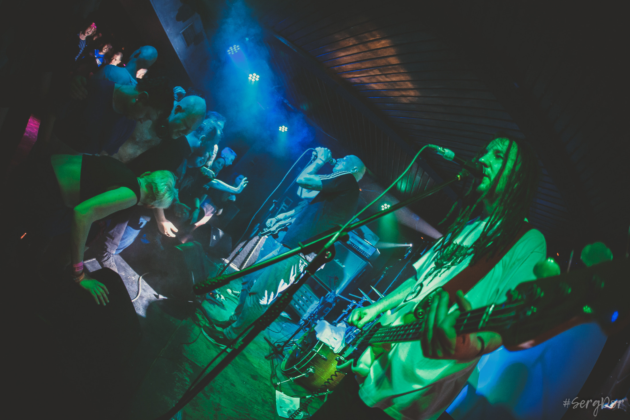 Пионерлагерь Пыльная Радуга, Собака Милле, Тверь, ППР, 01.05.2022, SergDor, 1 мая 2022 года, #SergDor