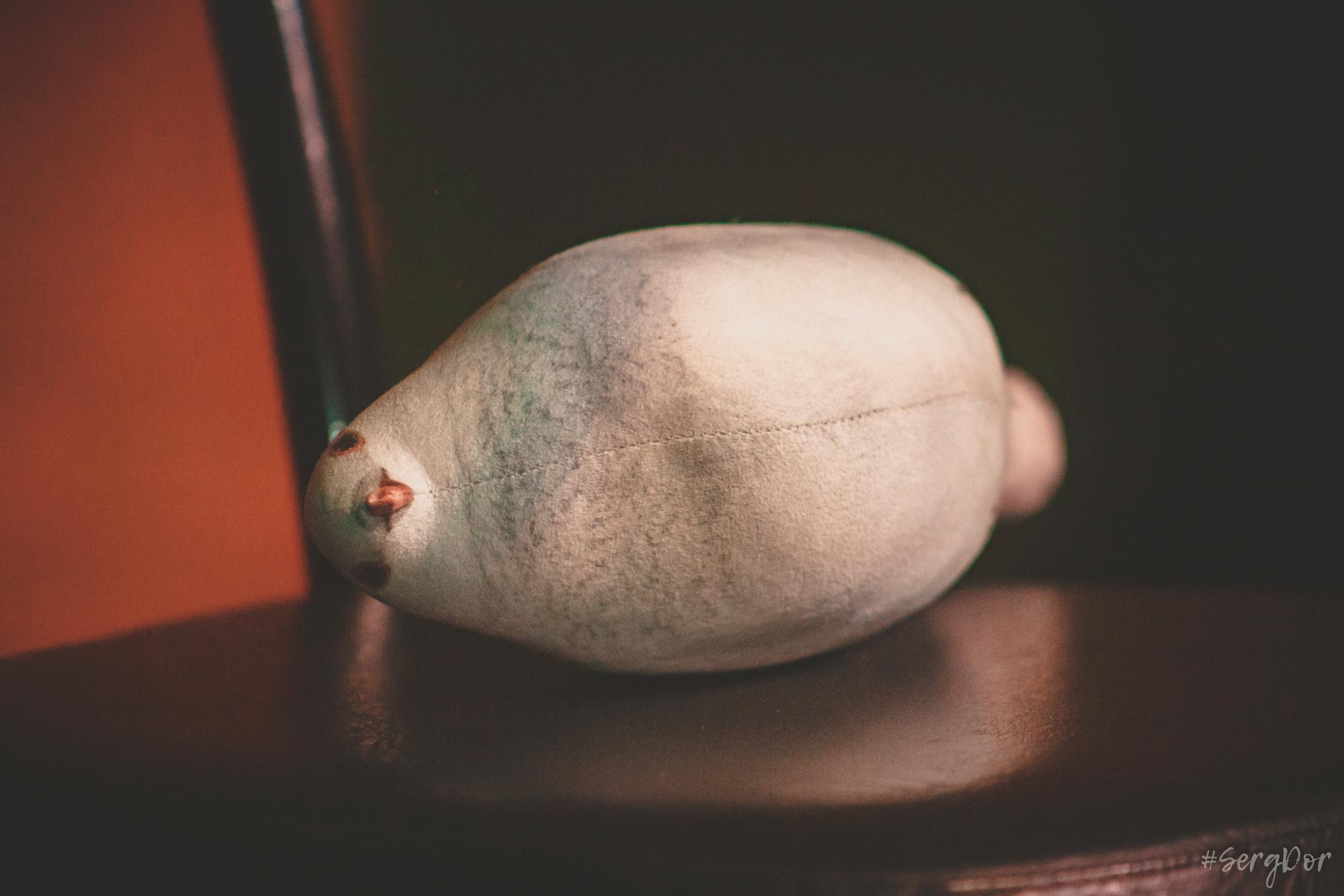 Лёва Сазонов, Dругой Ветер, акустика, клуб Ящик, Другой Ветер, чужие песни, Рейд, Наконечный, 03.04.2022, SergDor, 3 апреля 2022 года, #SergDor