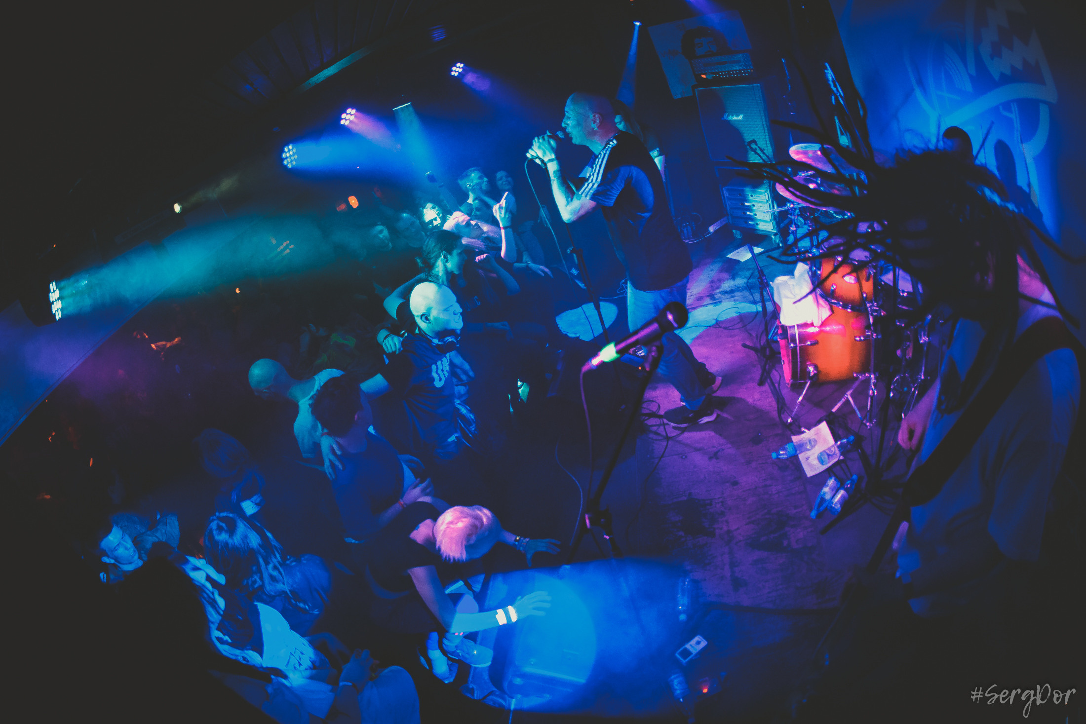 Пионерлагерь Пыльная Радуга, Собака Милле, Тверь, ППР, 01.05.2022, SergDor, 1 мая 2022 года, #SergDor